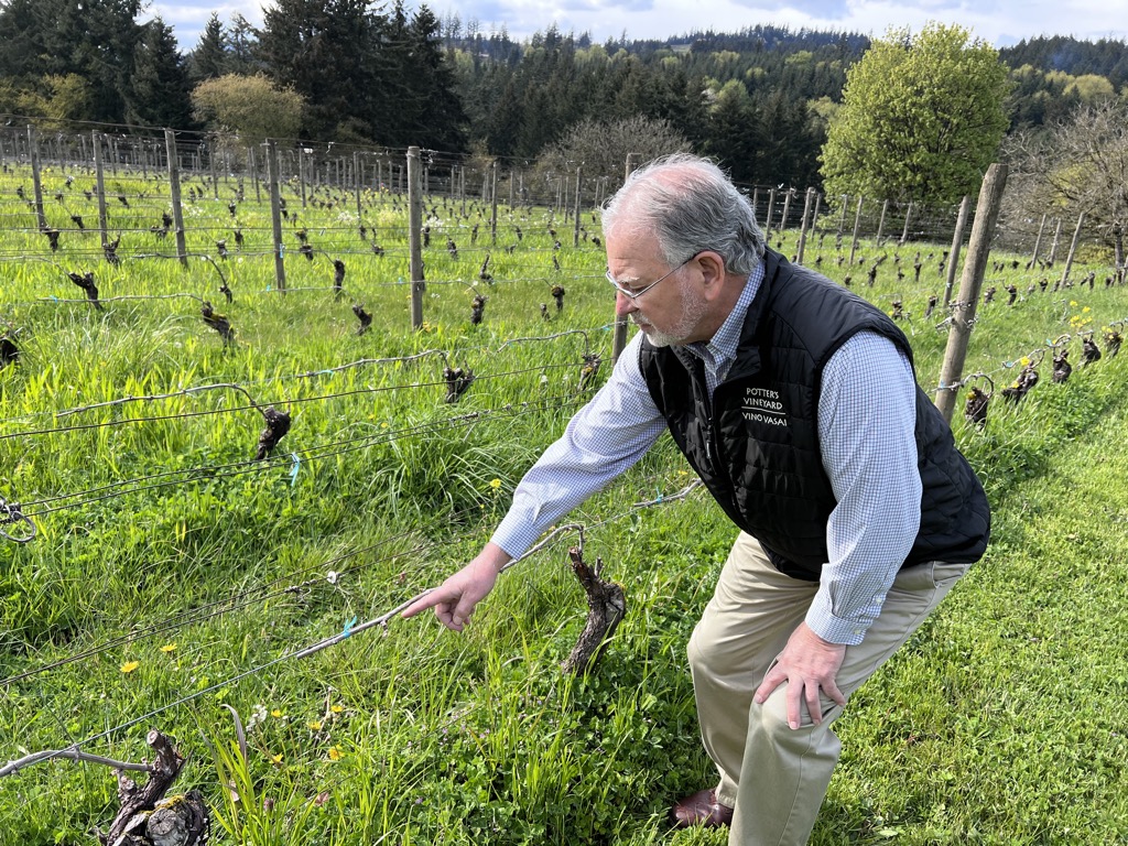 Bill Sanchez from Potter's Vineyard talking about frost during Oregon's 2021 vintage