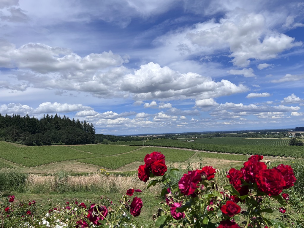 Visiting Bledsoe McDaniels Coulee Estate in the Eola-Amity Hills located in Oregon Wine Country