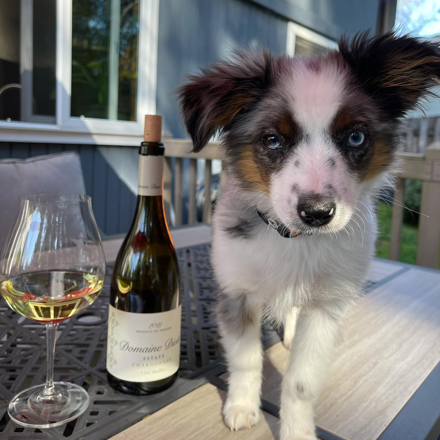2019 Estate Clos Gallia Review