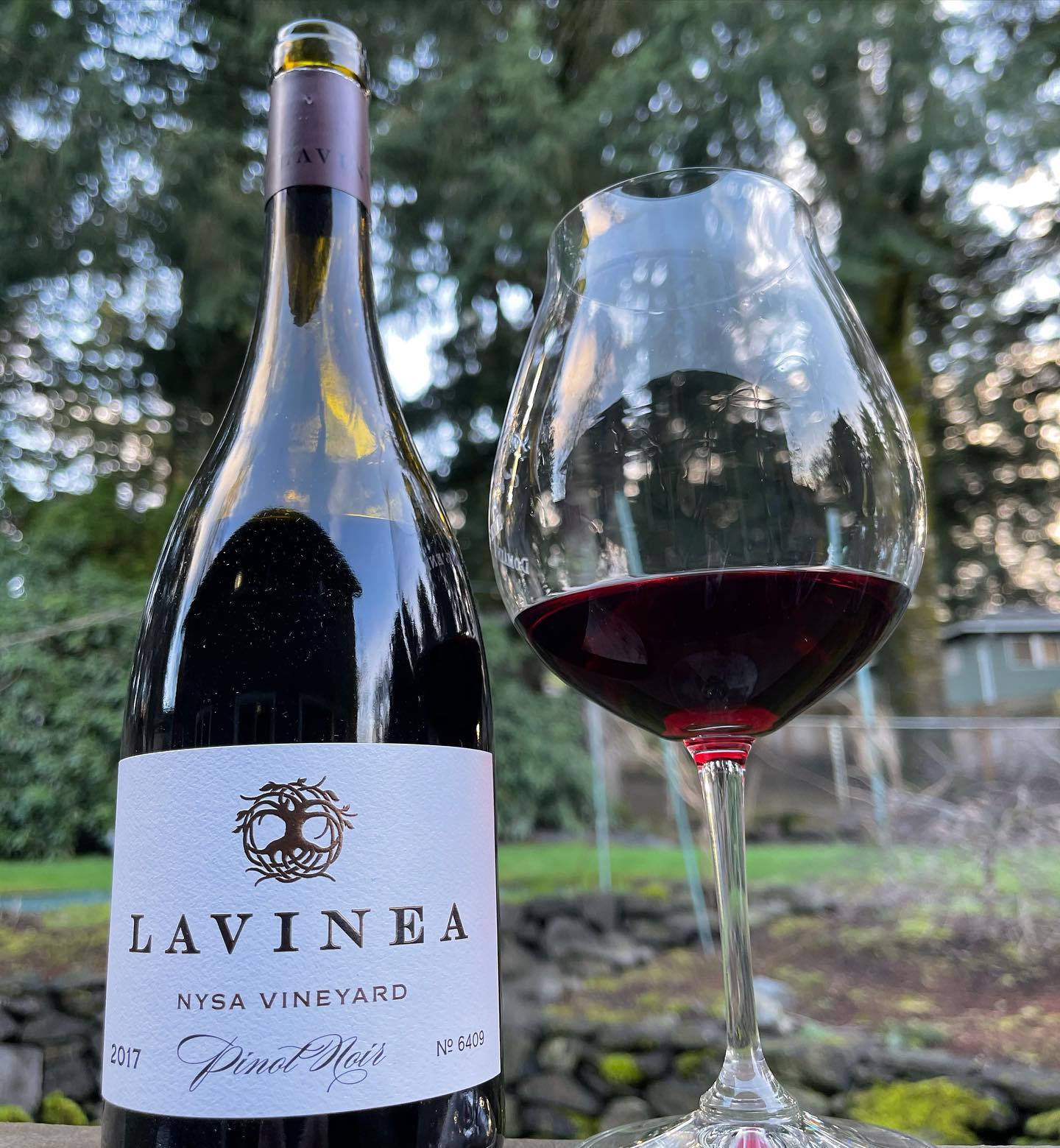 2017 Nysa Vineyard Review