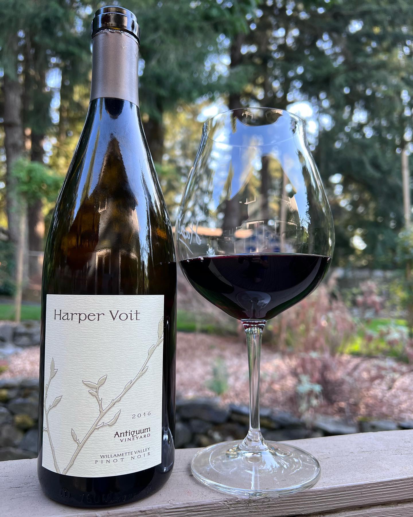 2016 Antiquum Vineyard Pinot Noir