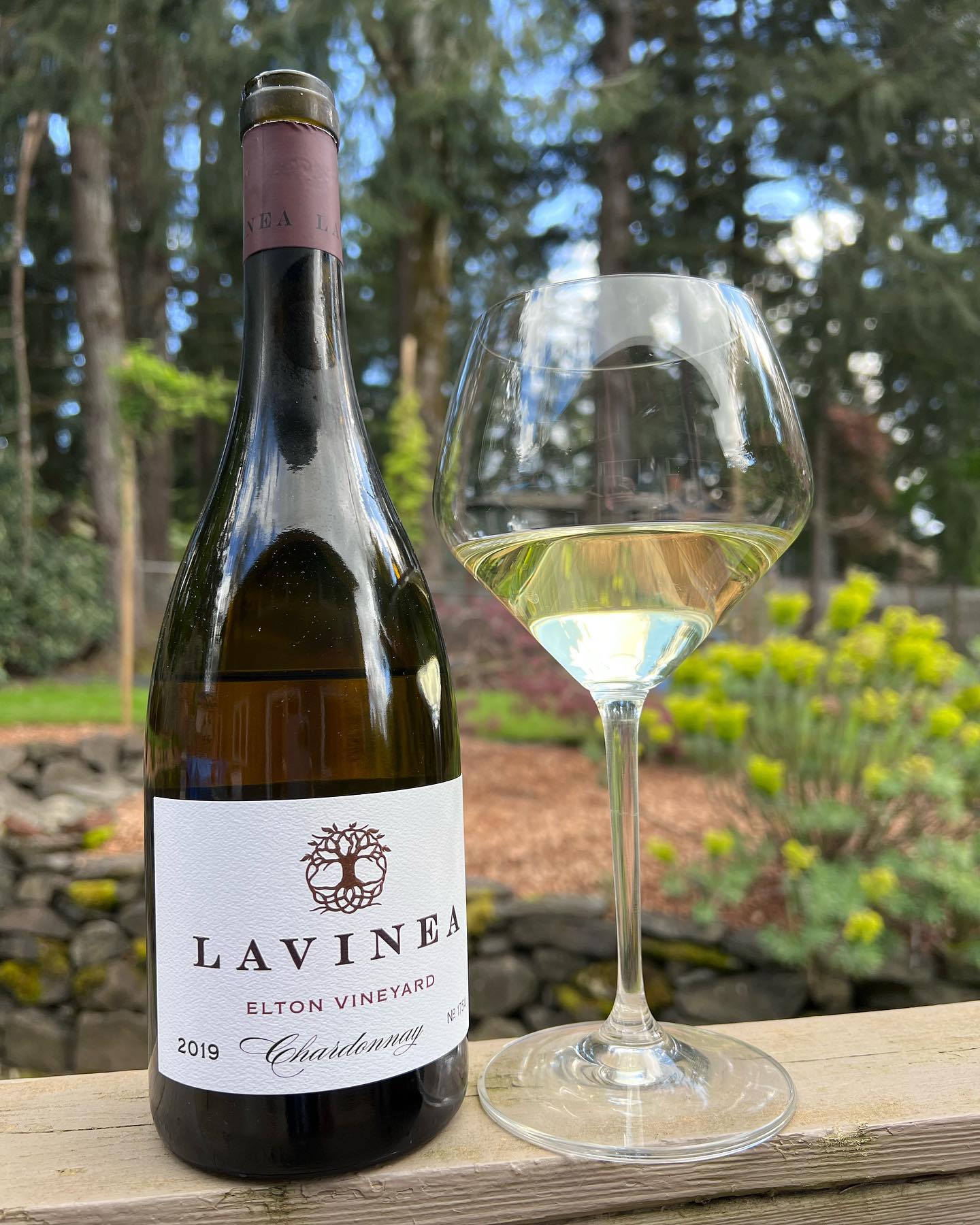 2019 Elton Chardonnay Review