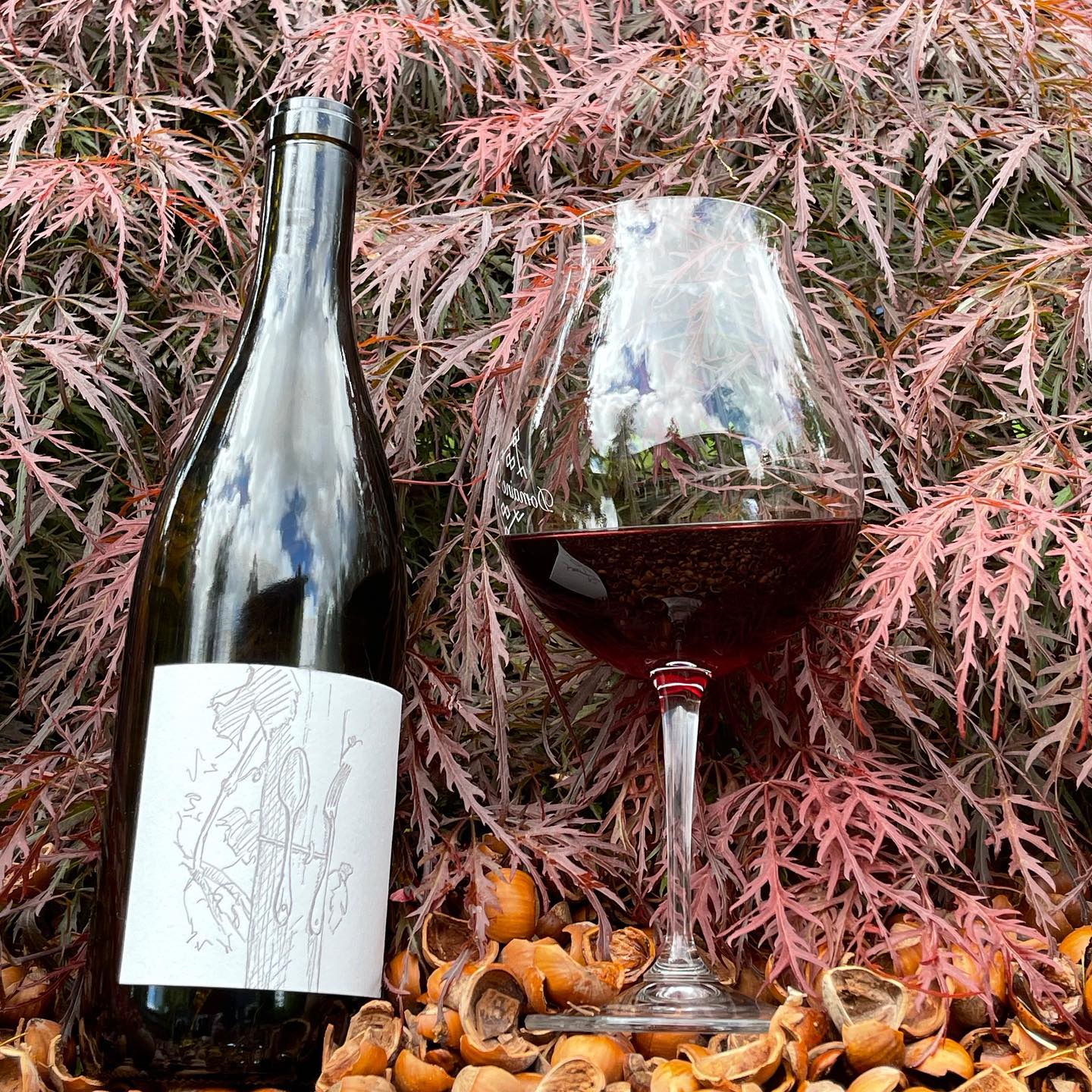 2019 Pelos Sandberg Vineyard When Review