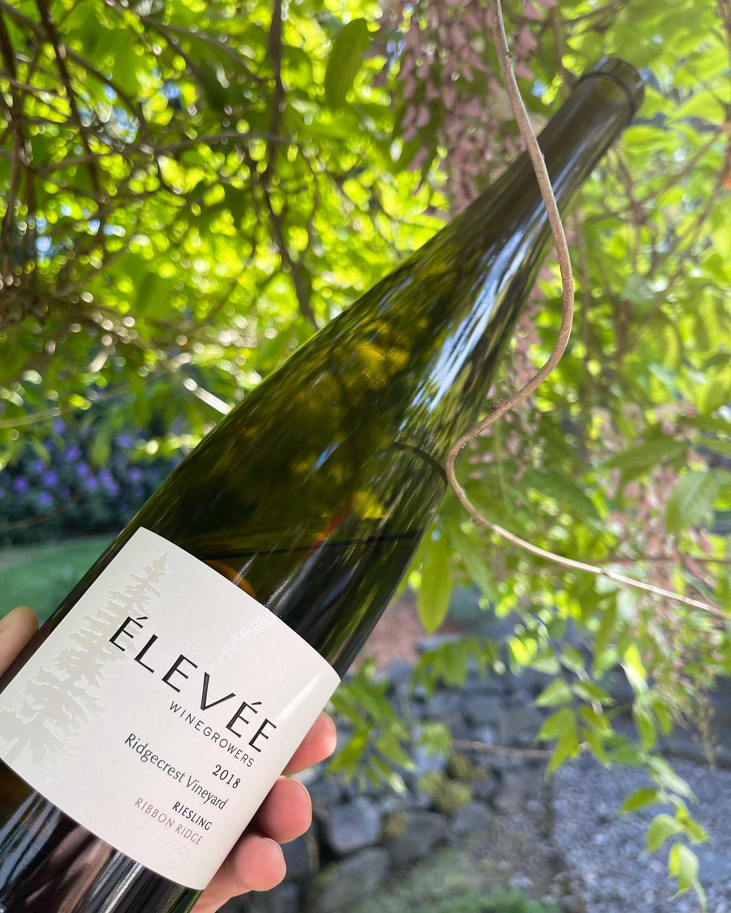 2018 Ridgecrest Riesling Review