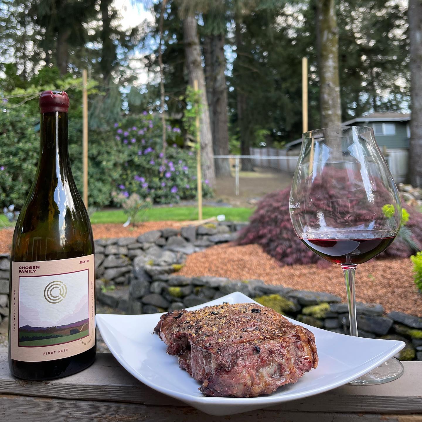2019 Chosen Family Pinot Review