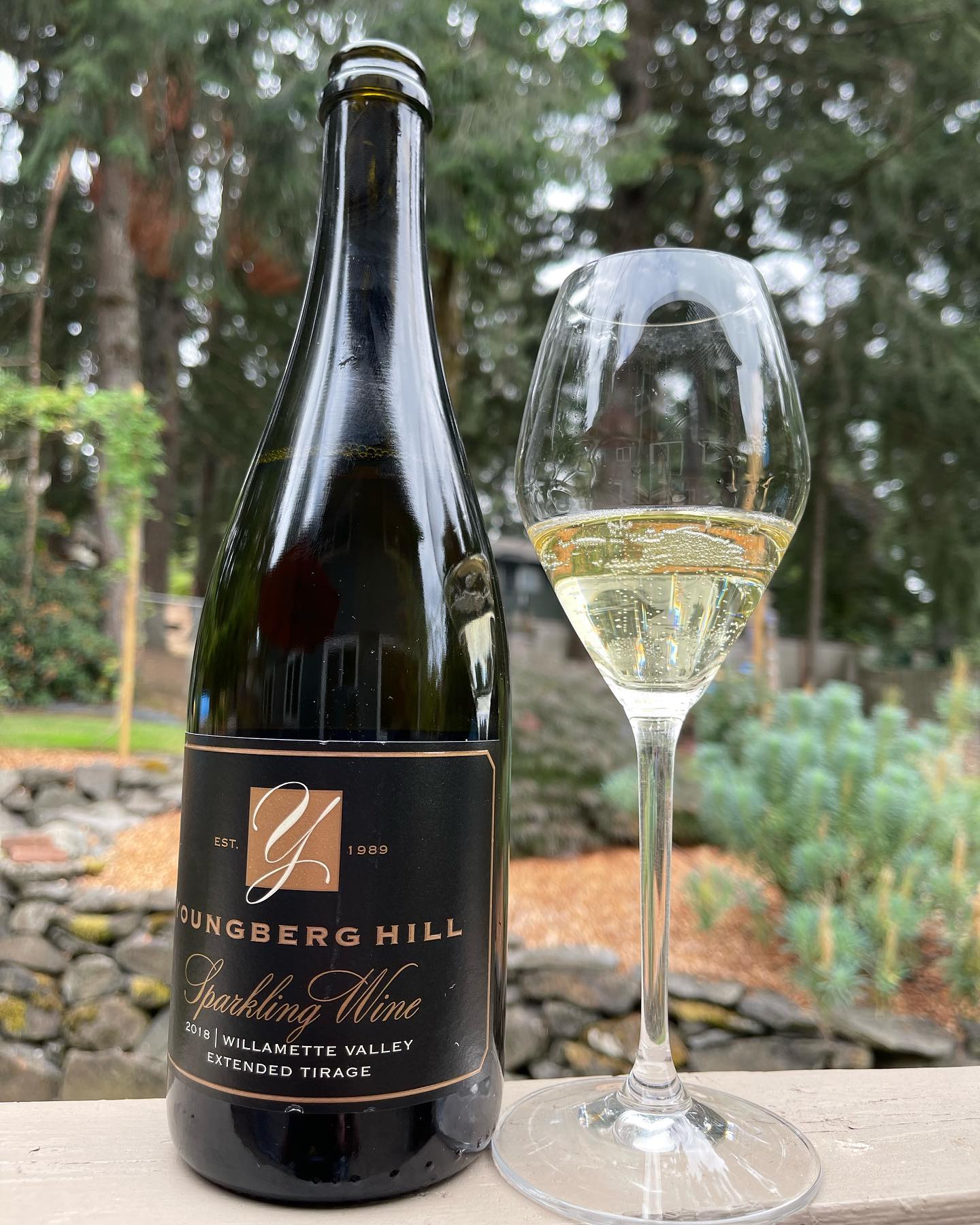 2018 Sparkling Wine Chardonnay Pinot Noir Want Review
