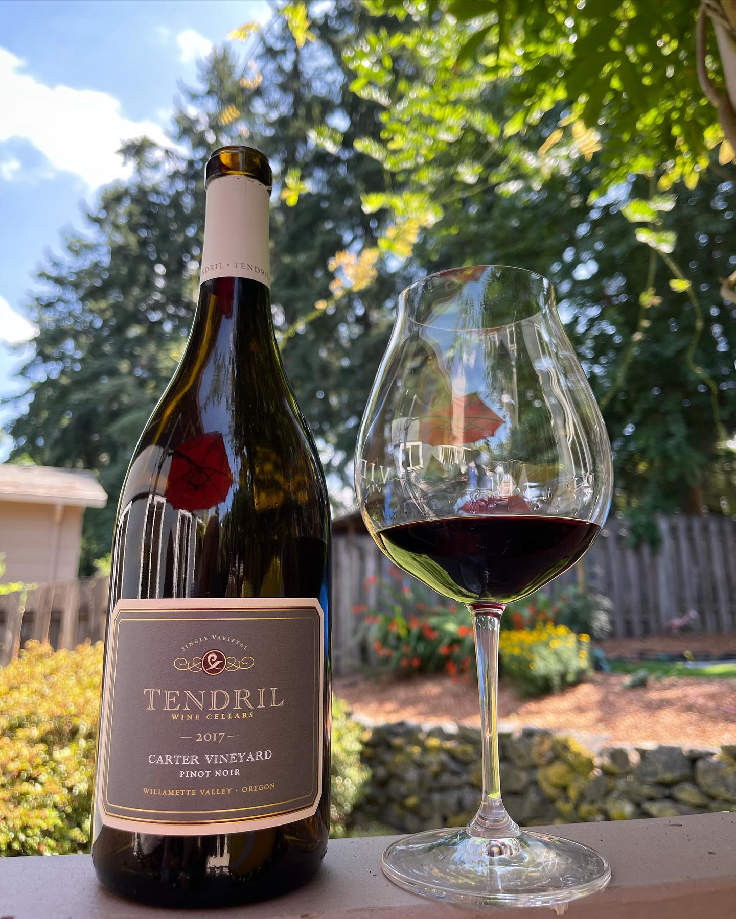 2017 Carter Vineyard Pinot Review