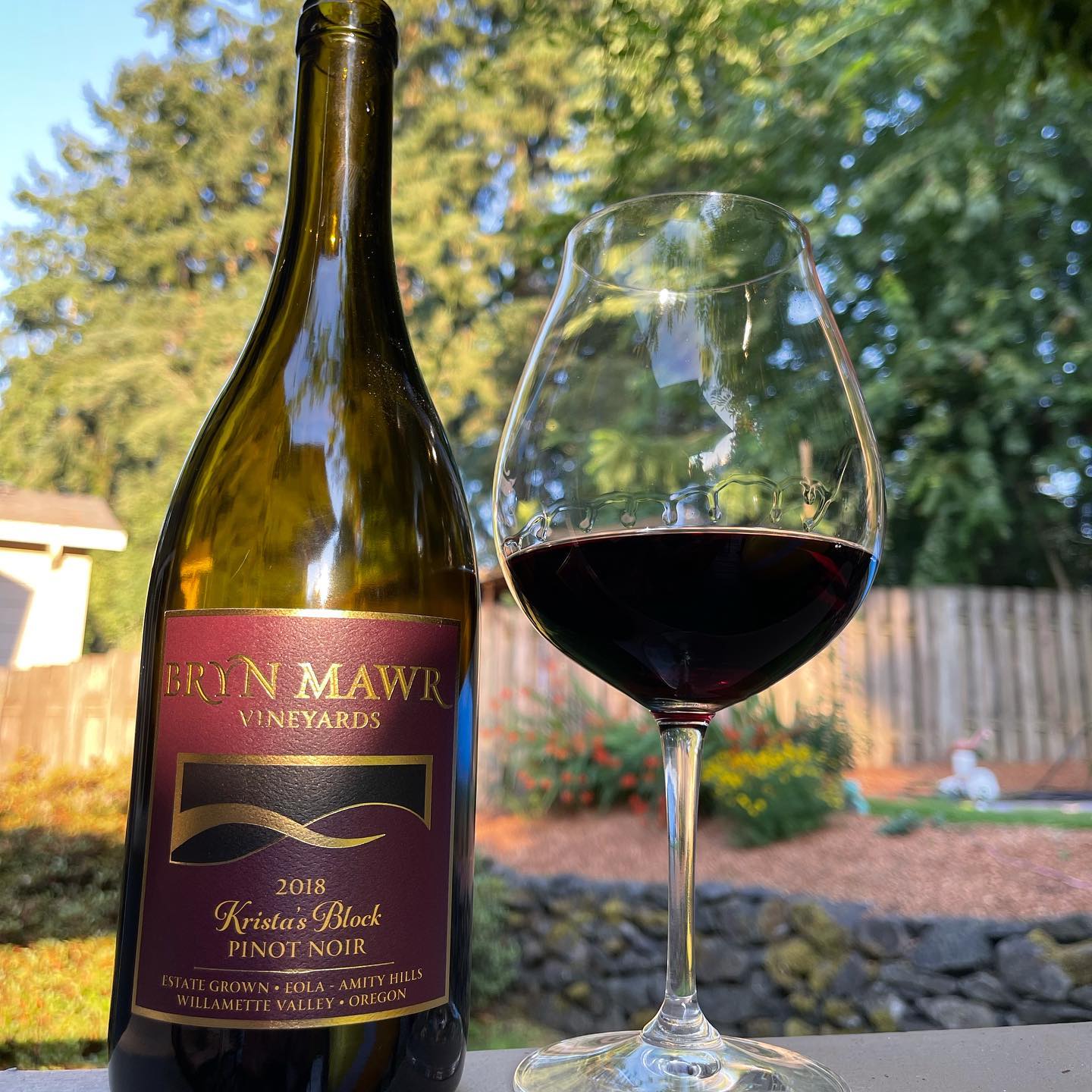 2018 Kristas Block Pinot These Review