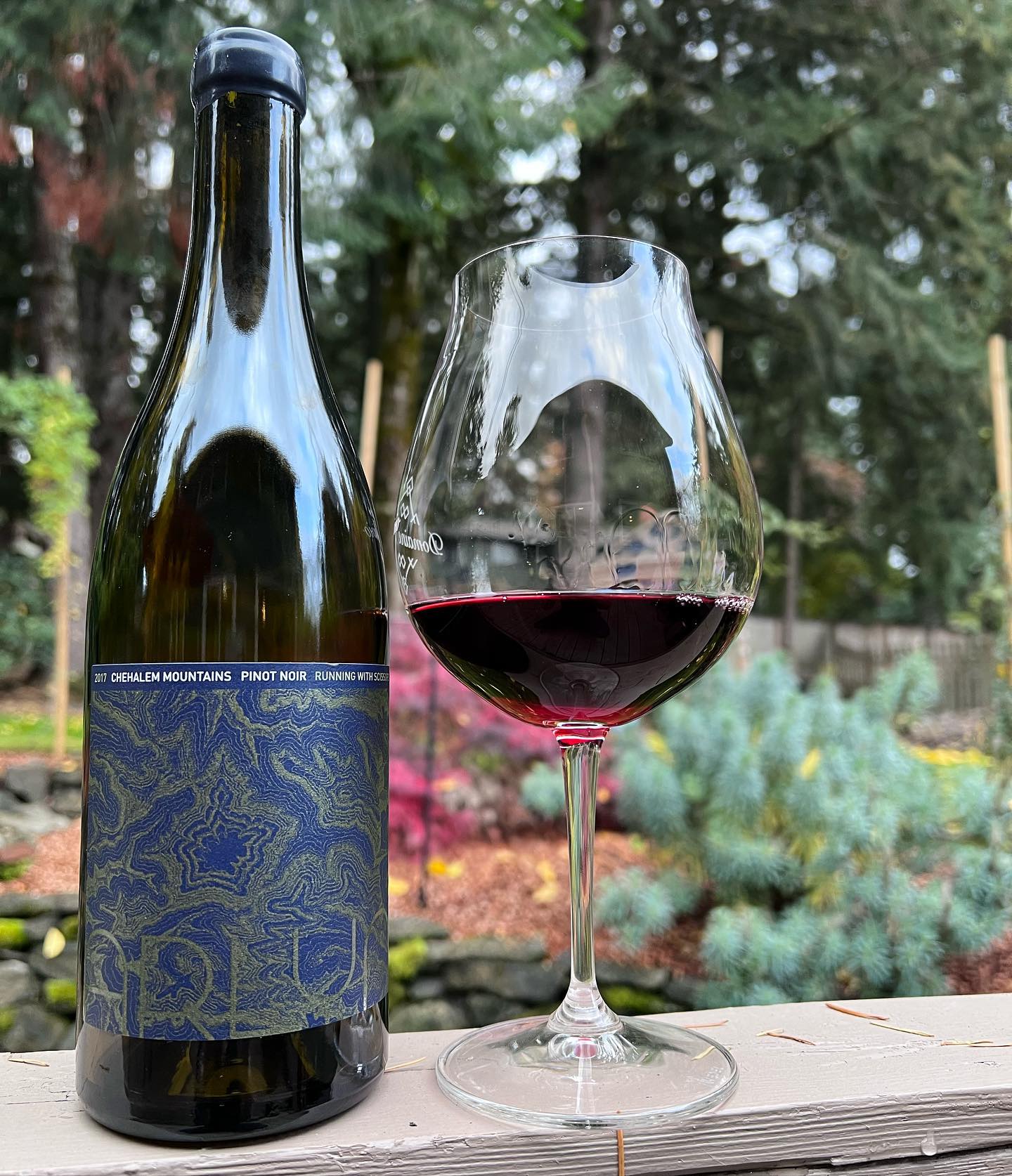 2017 Running With Scissors Pinot Review