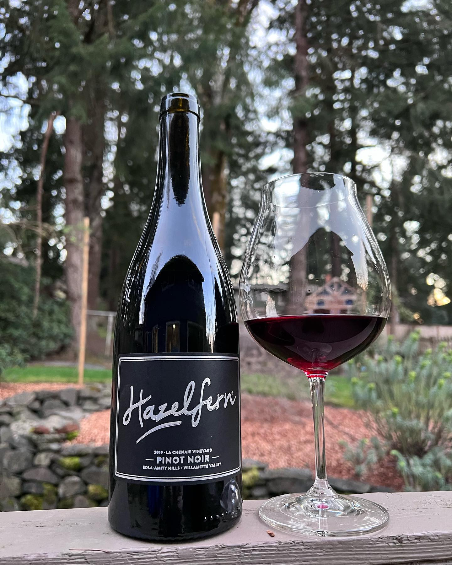 2019 La Chenaie Vineyard Pinot Noir Review