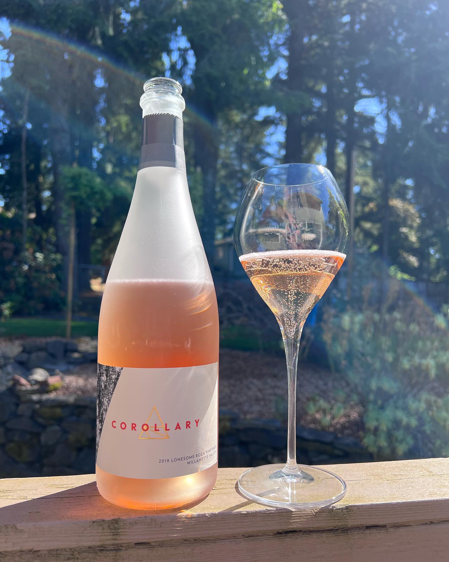 2018 Lonesome Rock Vineyard Carbonic Rose Review