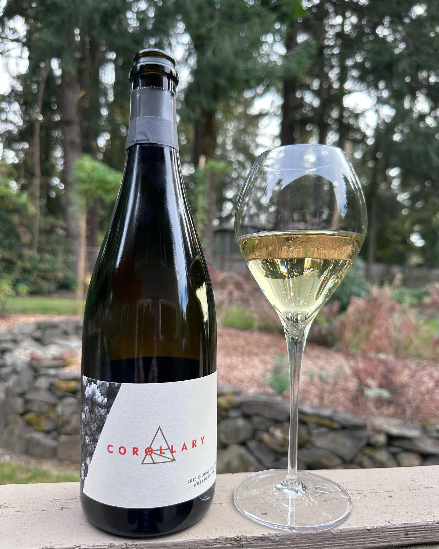 2018 X-OMNI Blanc Review