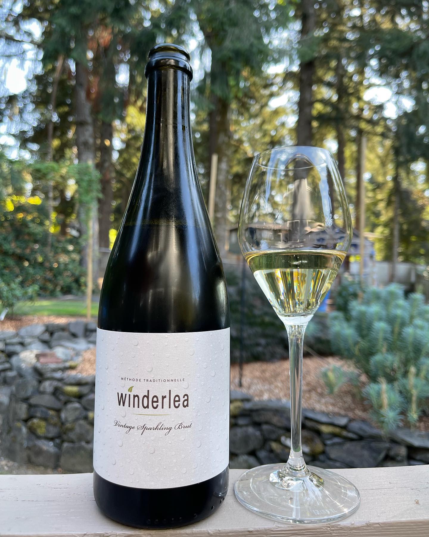 2017 Sparkling Brut Review