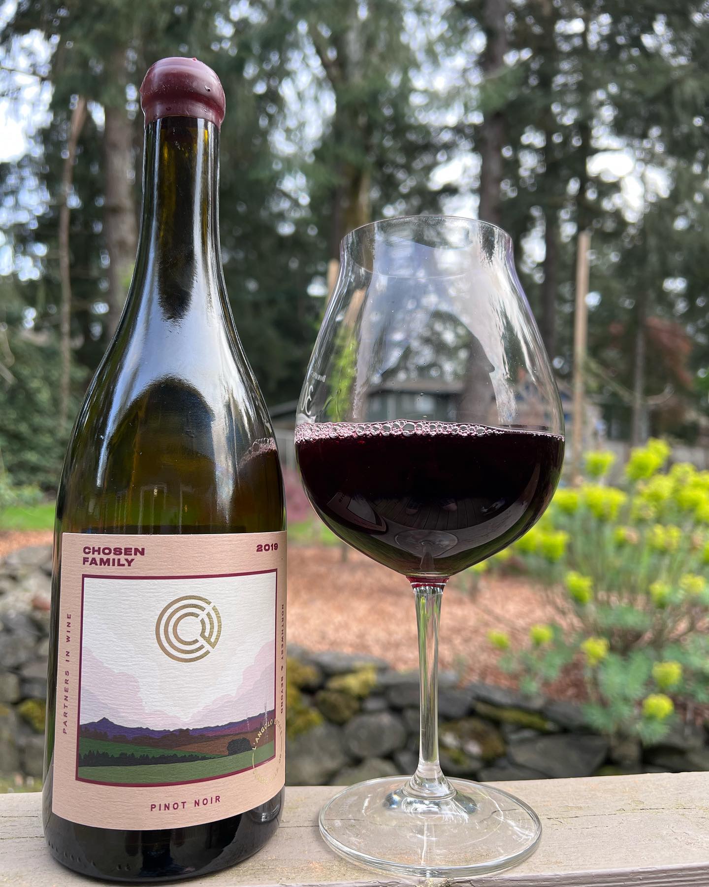2019 Chosen Family LAngolo Estate Pinot Review