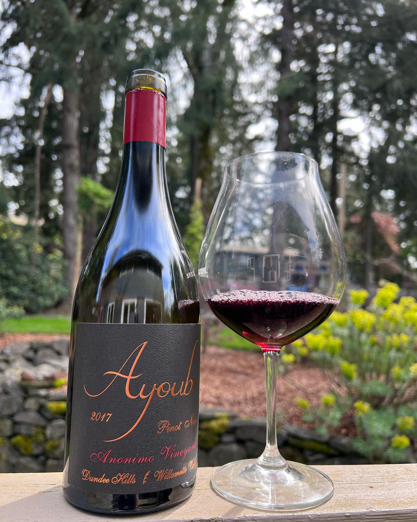 When I decided almost three years ago to start venturing out more into Oregon Wine Coun…