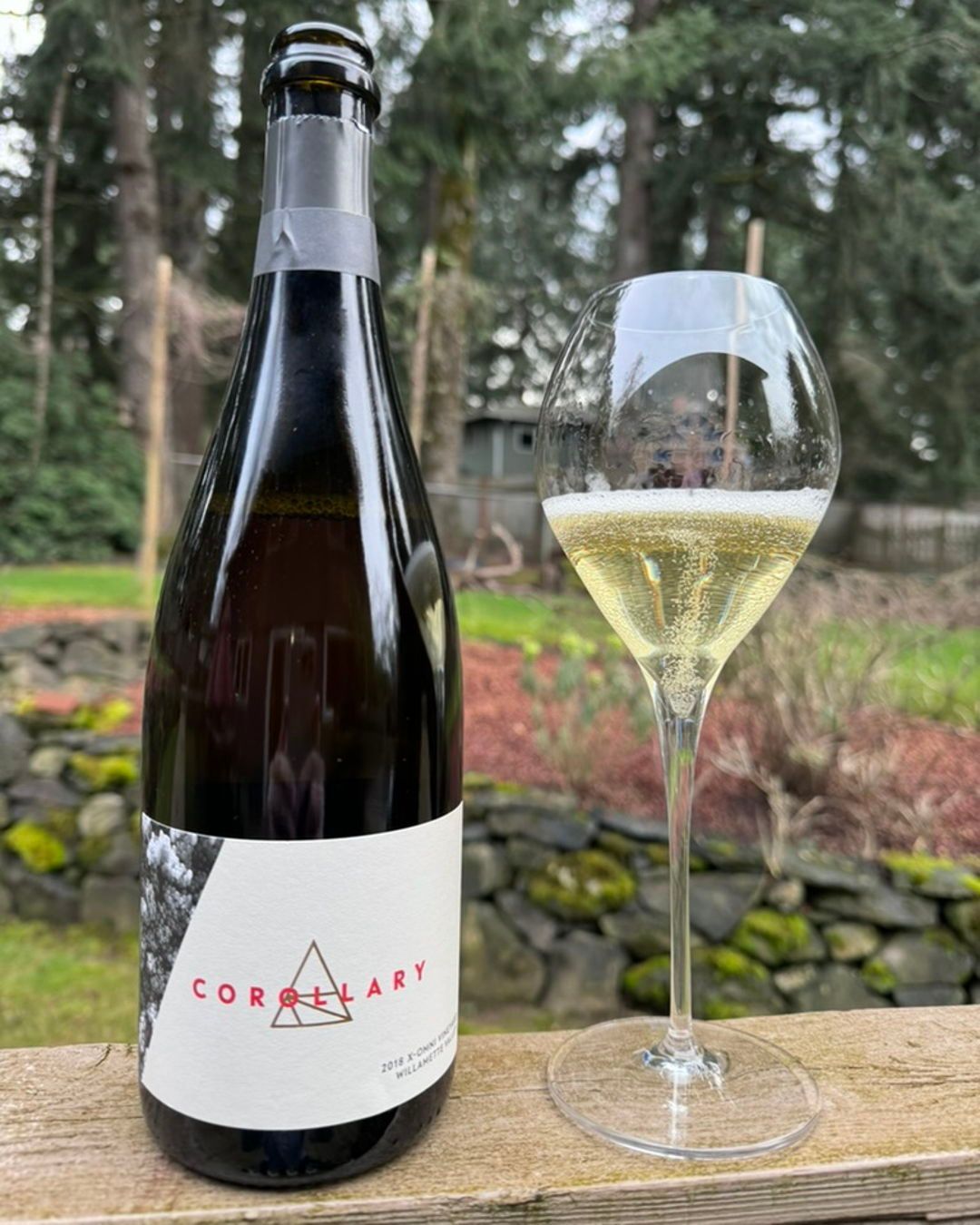 2018 X-OMNI Corollary Review