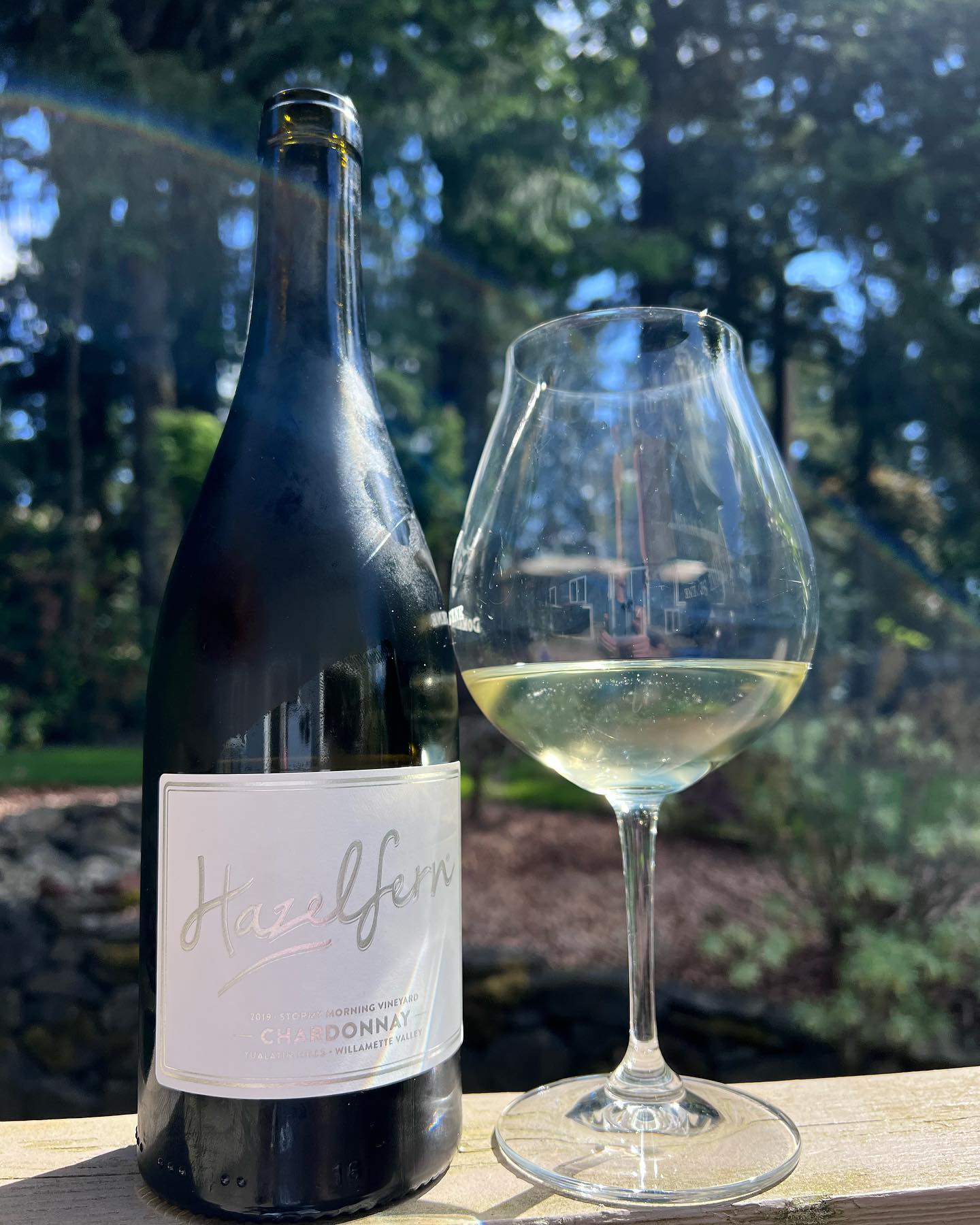 2019 Stormy Morning Vineyard Chardonnay Review