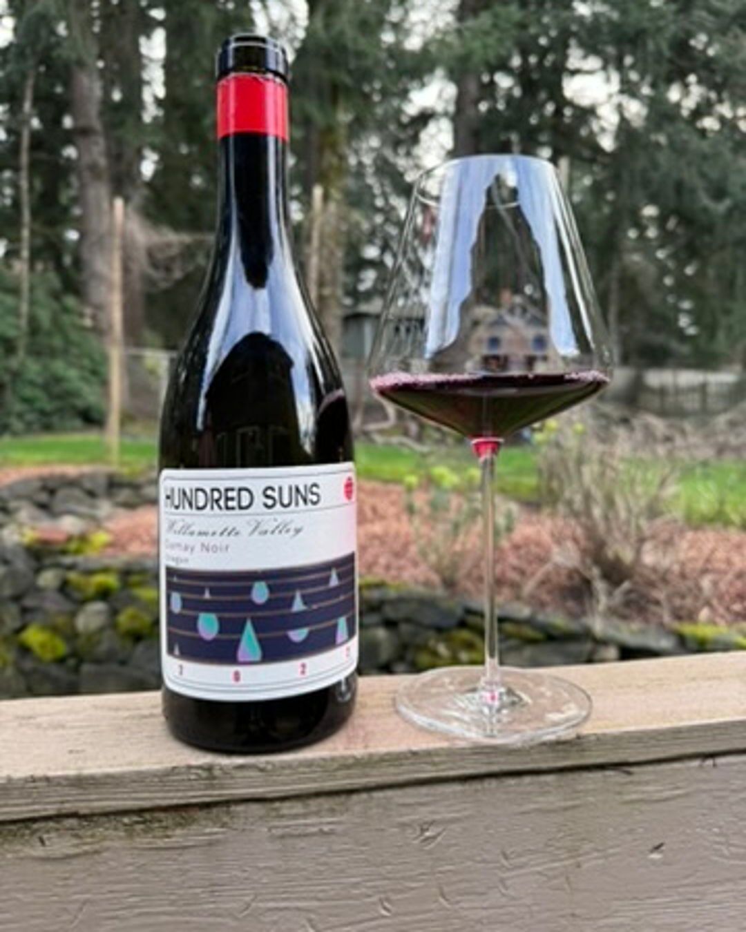 2022 Hundred Suns Gamay Noir Review
