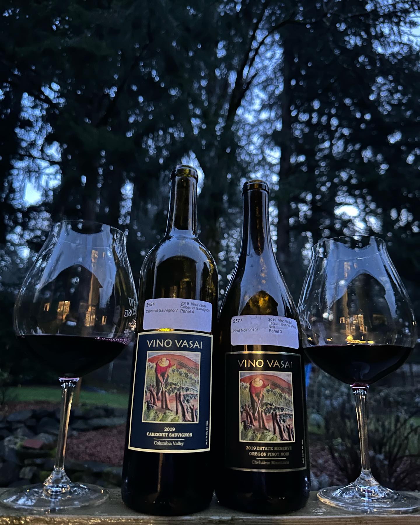 2019 Cab Sauv Review