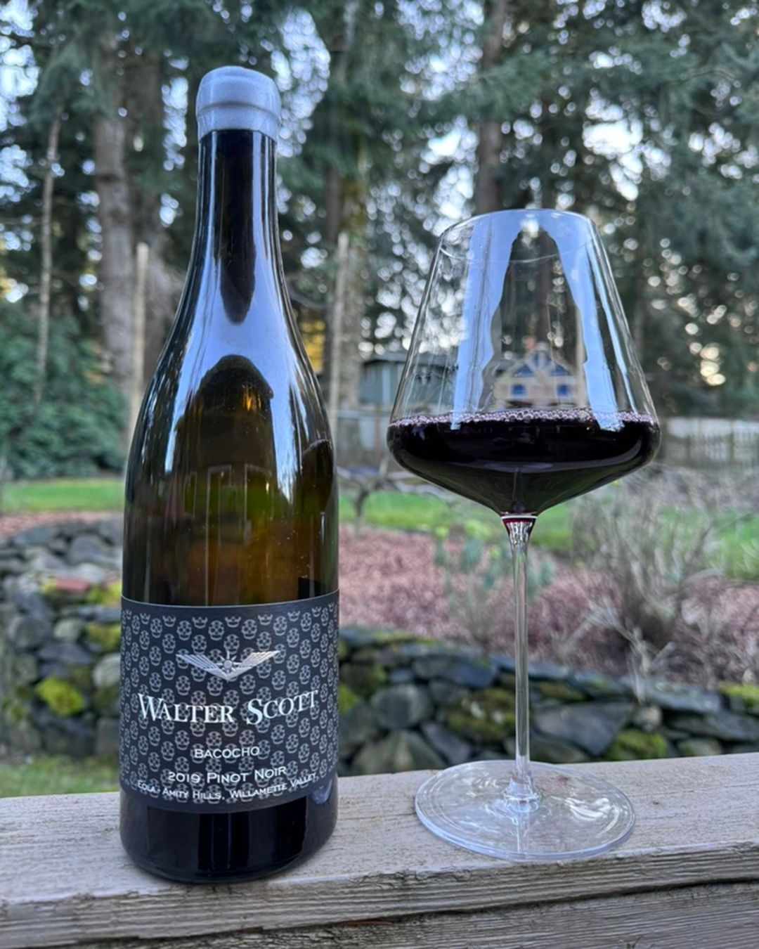 2019 Walter Scott Bacocho Pinot Noir Review