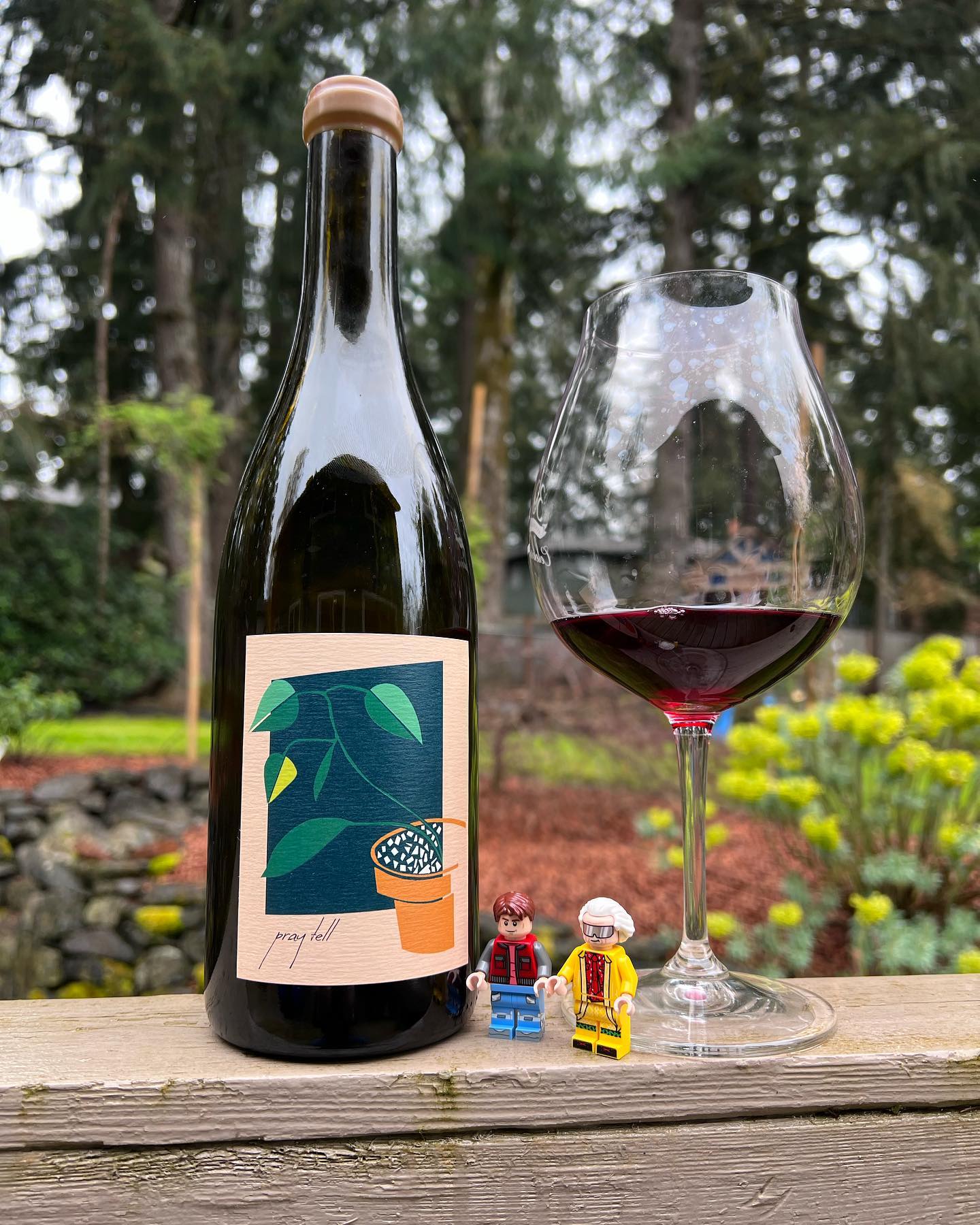 2019 praytellwines Pinot From Review