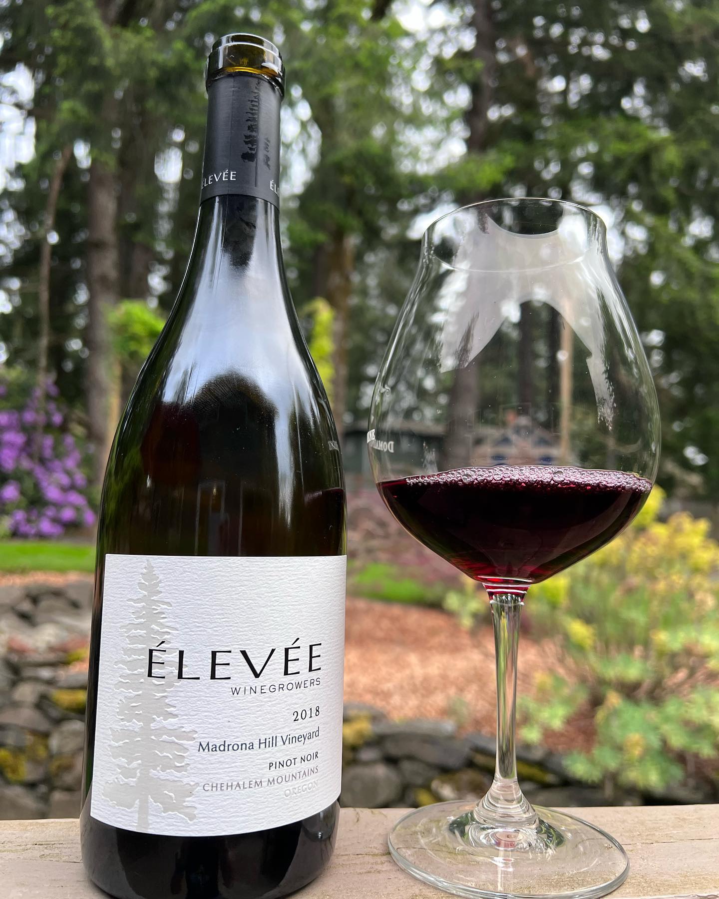 2018 Madrona Hill Pinot Review
