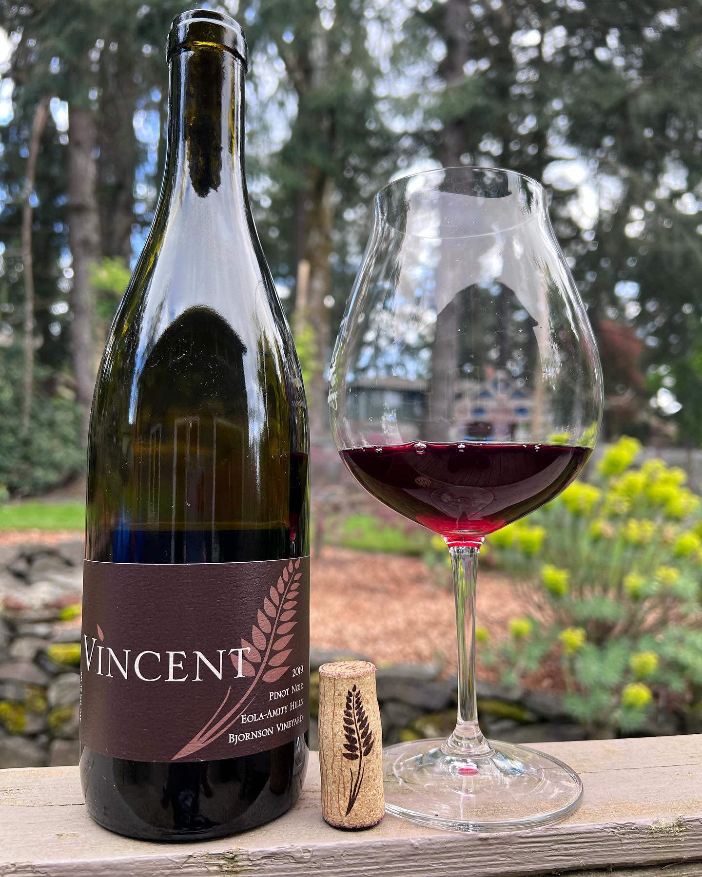 2019 Vincent Bjornson Pinot Review