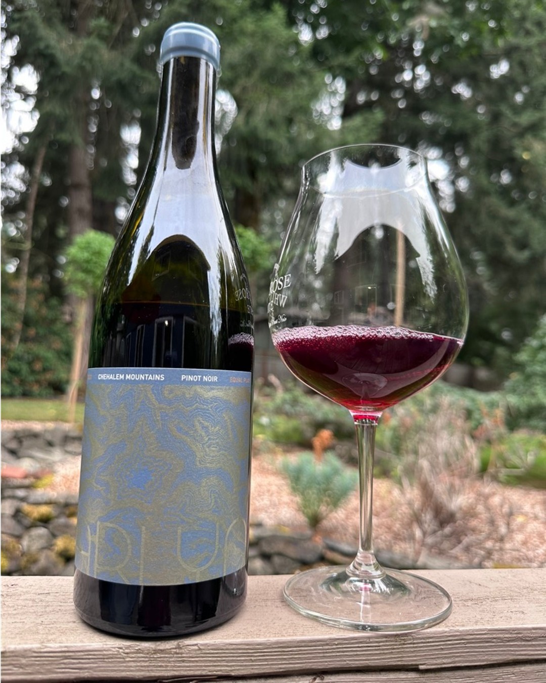 2020 Arlyn Equal Play Pinot Noir When Review