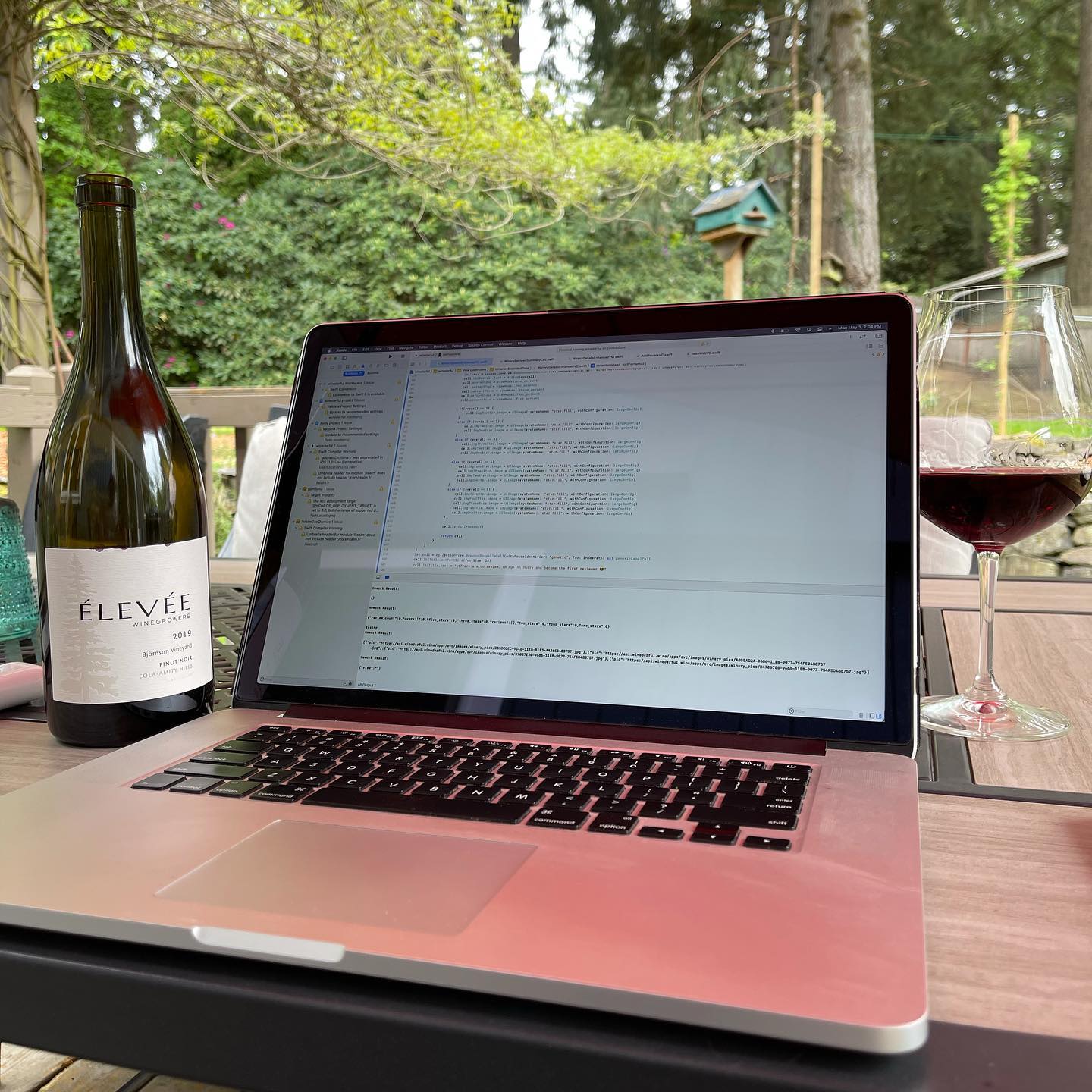 2019 Bjornson Vineyard Pinot Review