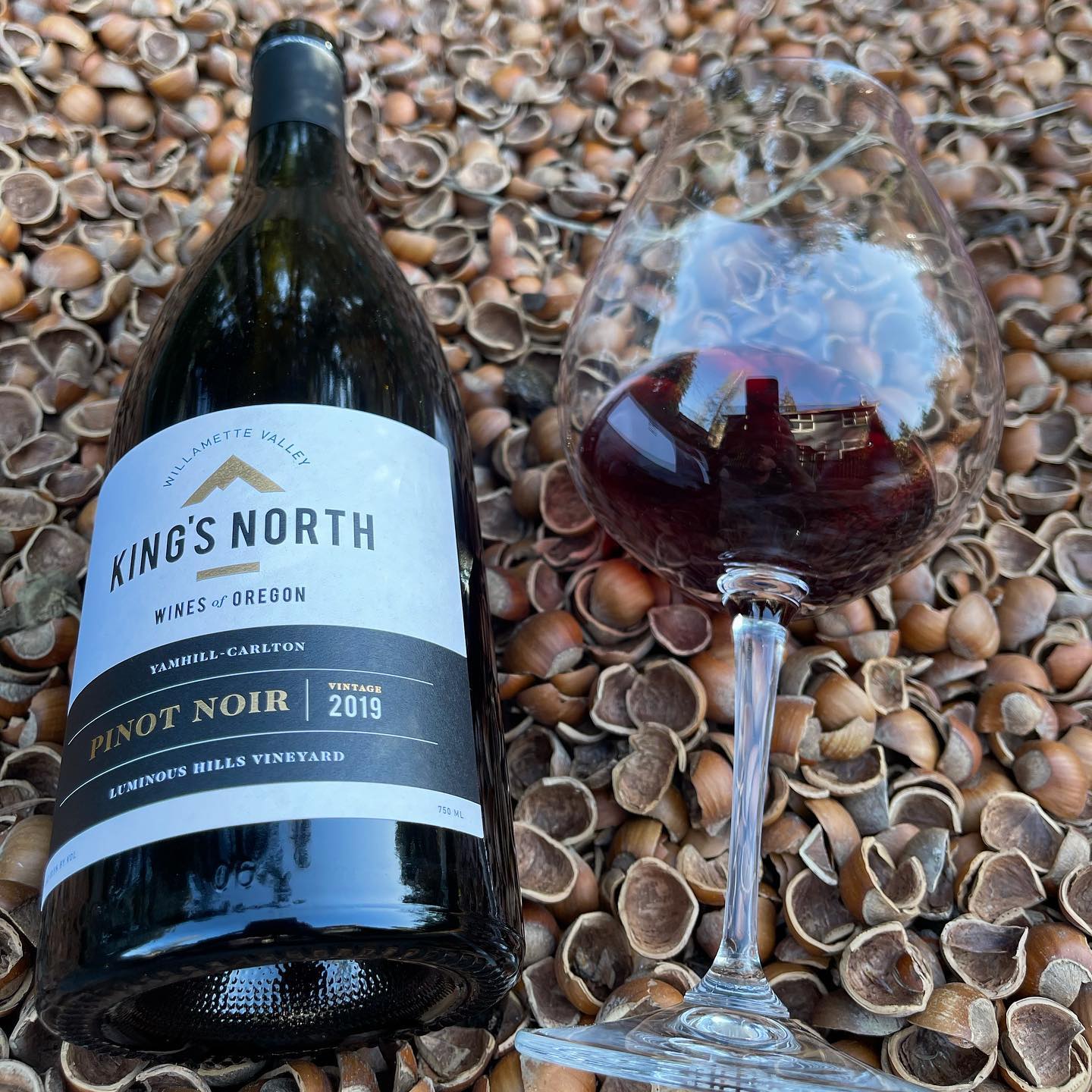 2019 Kings North Luminous Hill Review