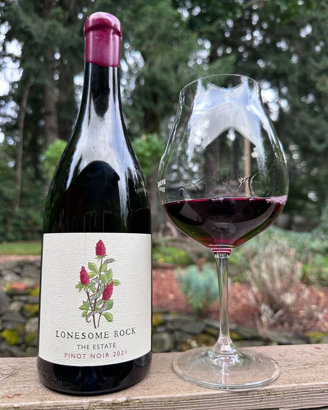 2021 Lonesome Rock Pinot Noir Review