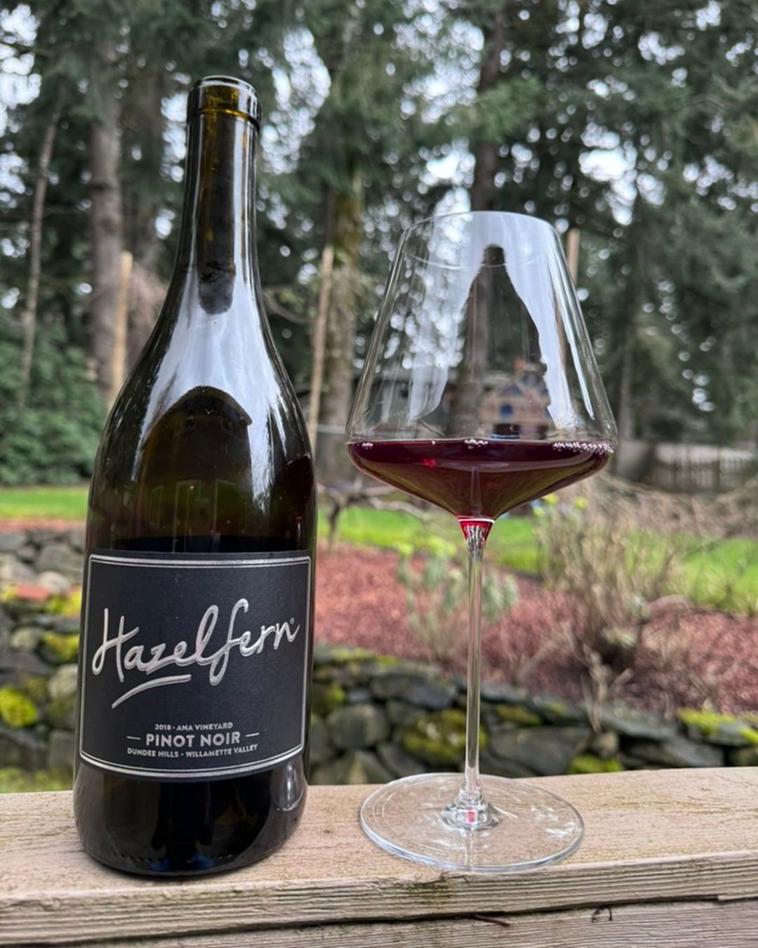 2018 Ana Vineyard Pinot Noir Review