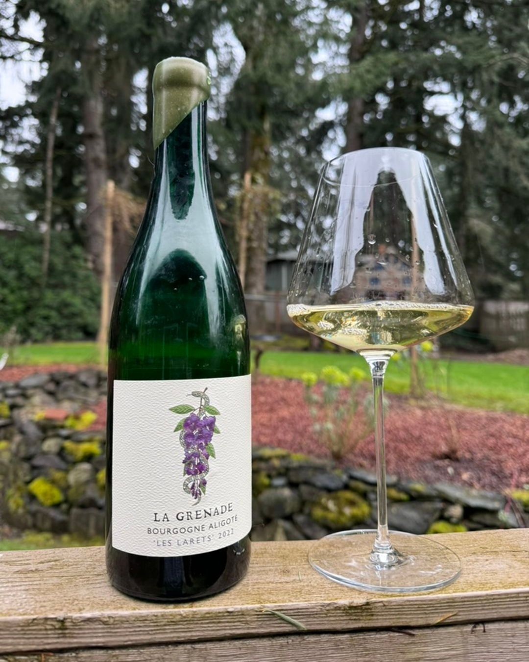 2022 La Grenade Bourgone Aligote Review