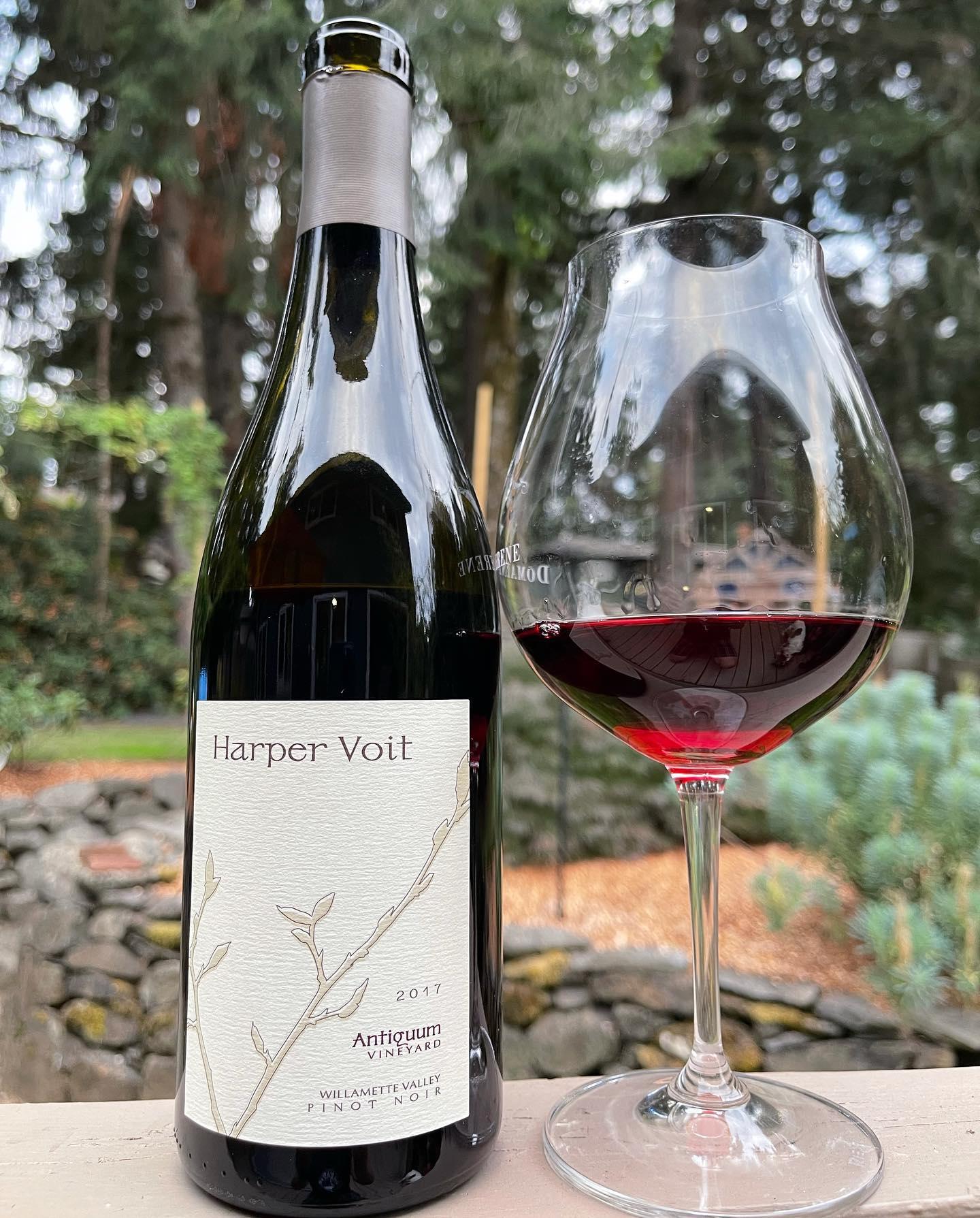 2017 Antiquum Vineyard