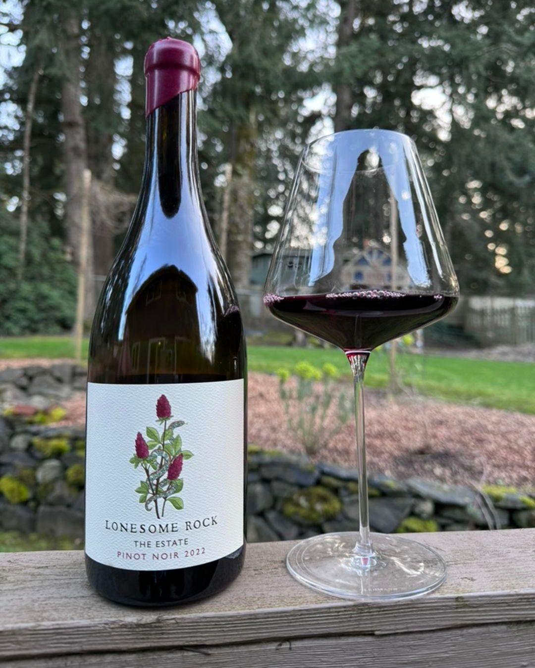 2021 Pinot Noir Review