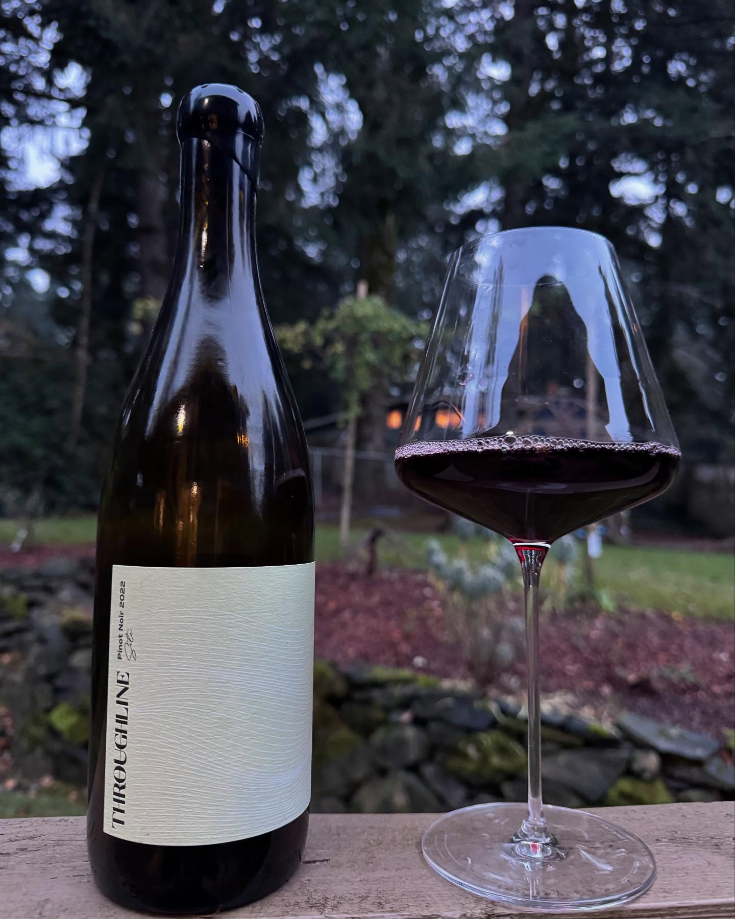 2022 Throughline Site Pinot Noir Its Review