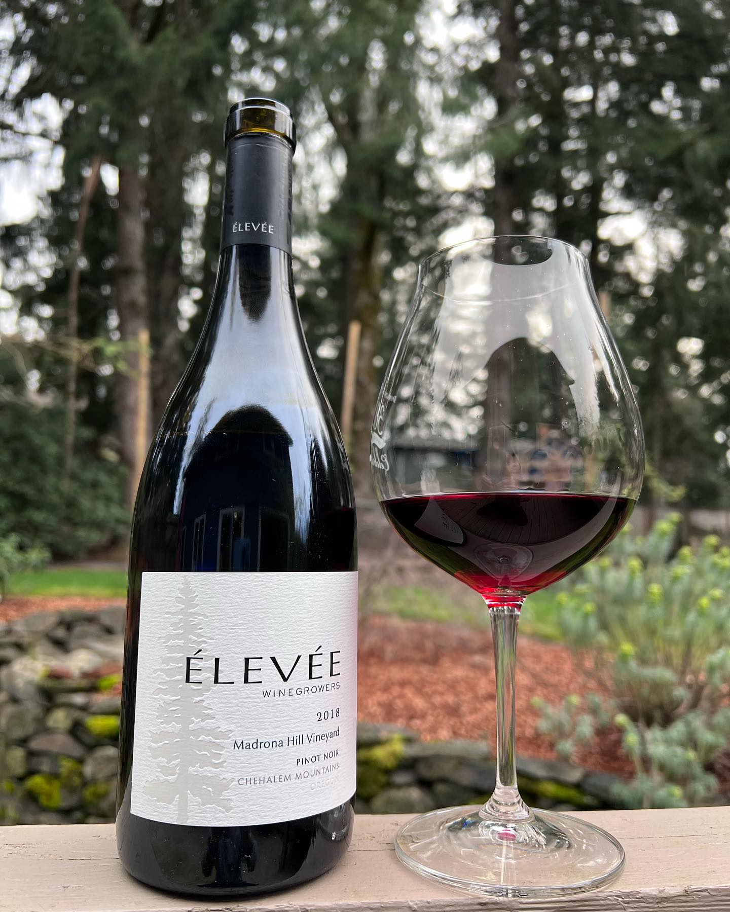 2018 Elevee Madrona Hill Pinot There Review