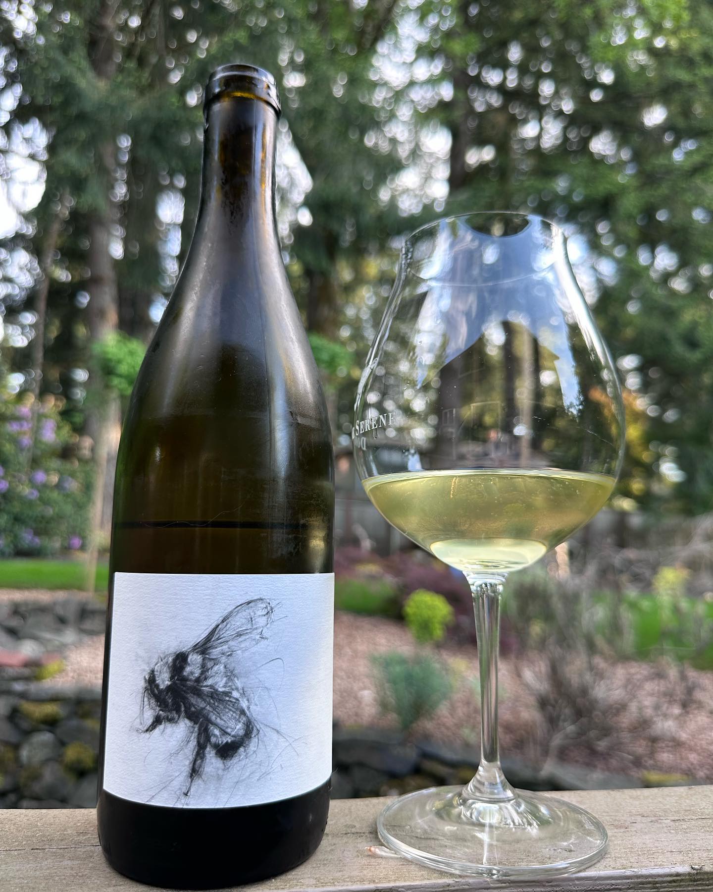 2021 Big Table Farm Wild Bee Chardonnay Review