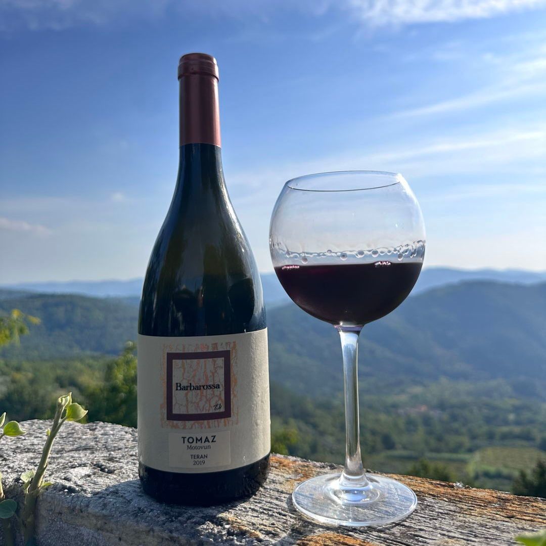 2019 Tomaz Teran Review