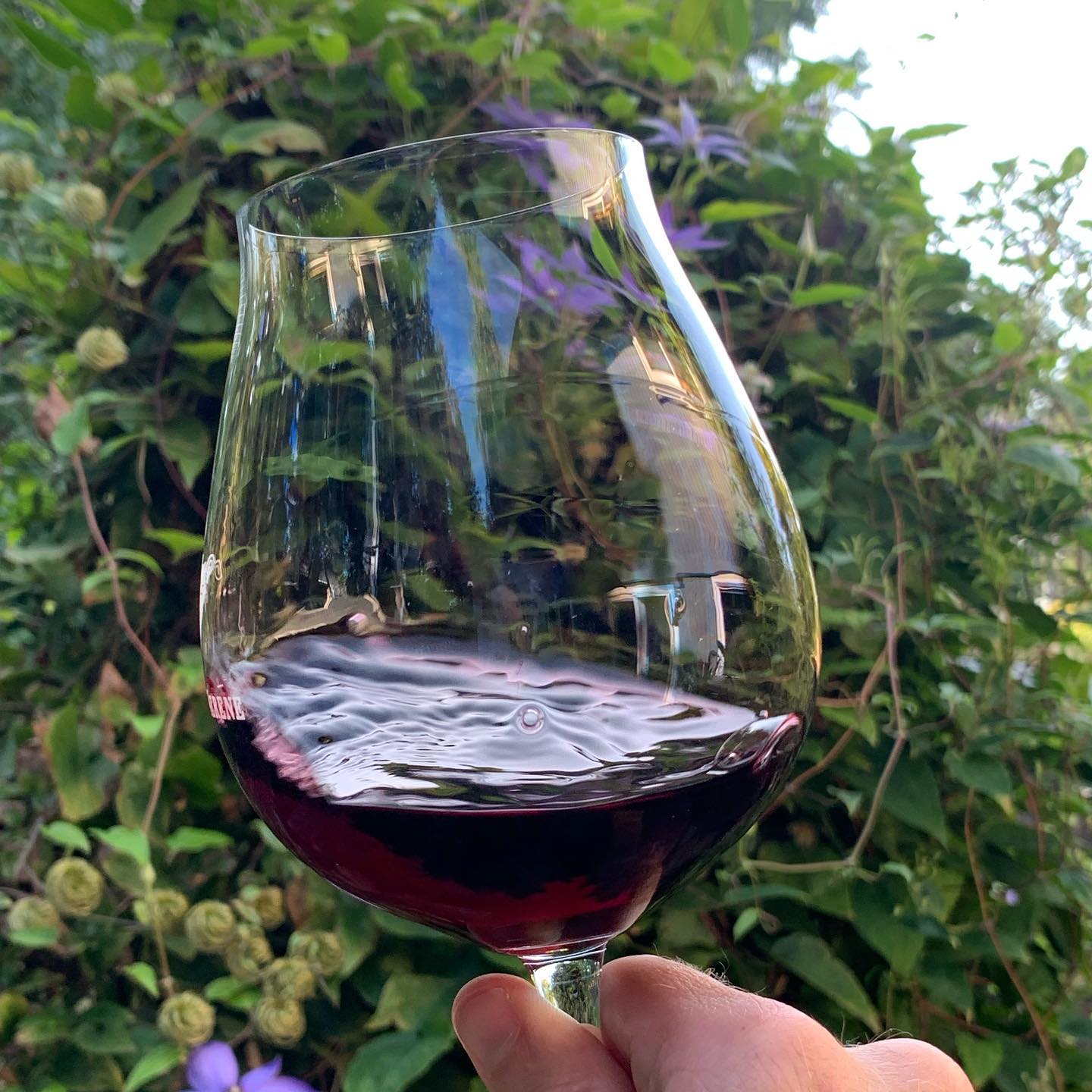Gotta be outside to enjoy every last bit of summer and of course celebrate Pinot Day π·