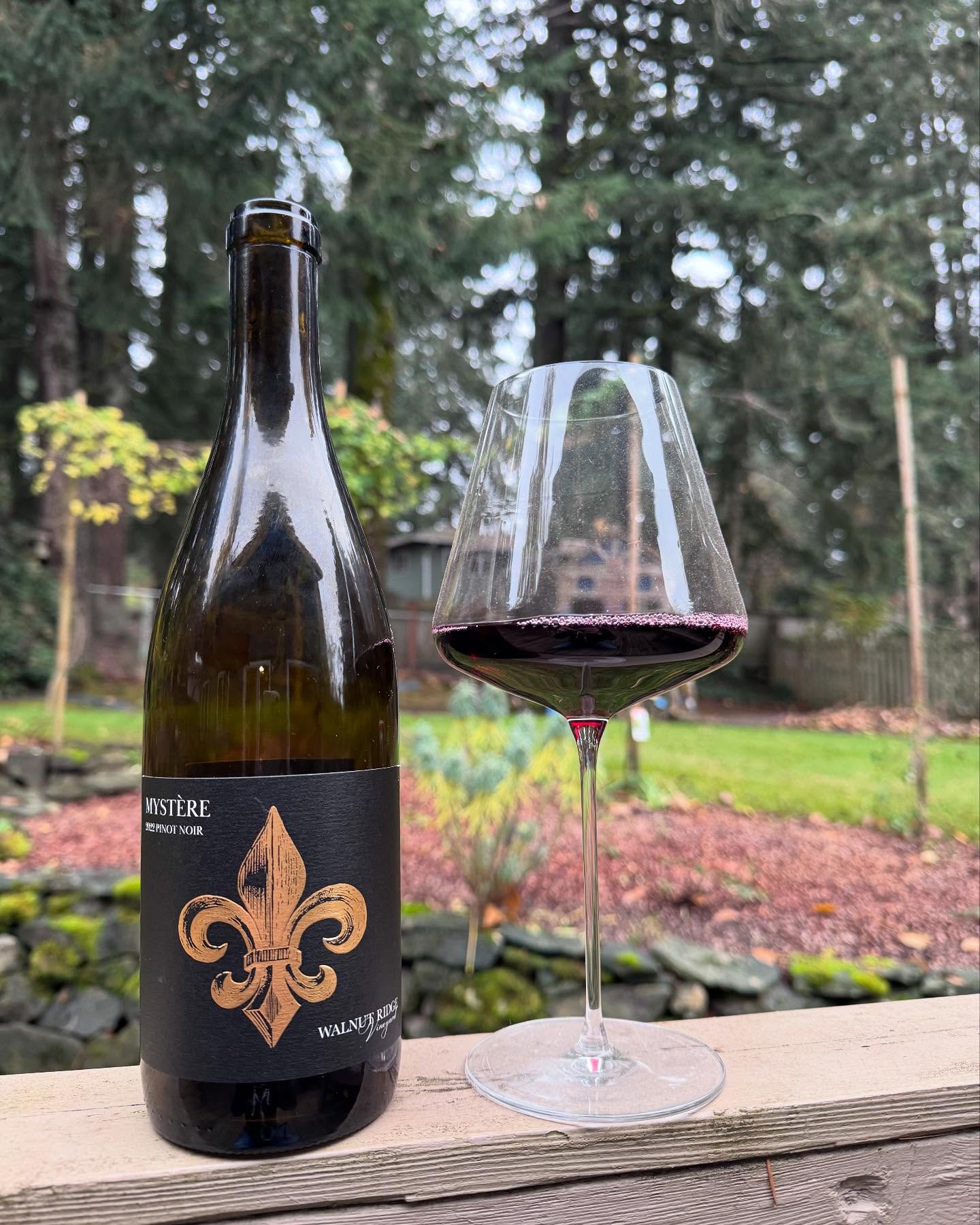 2022 Mystere Pinot Noir Review