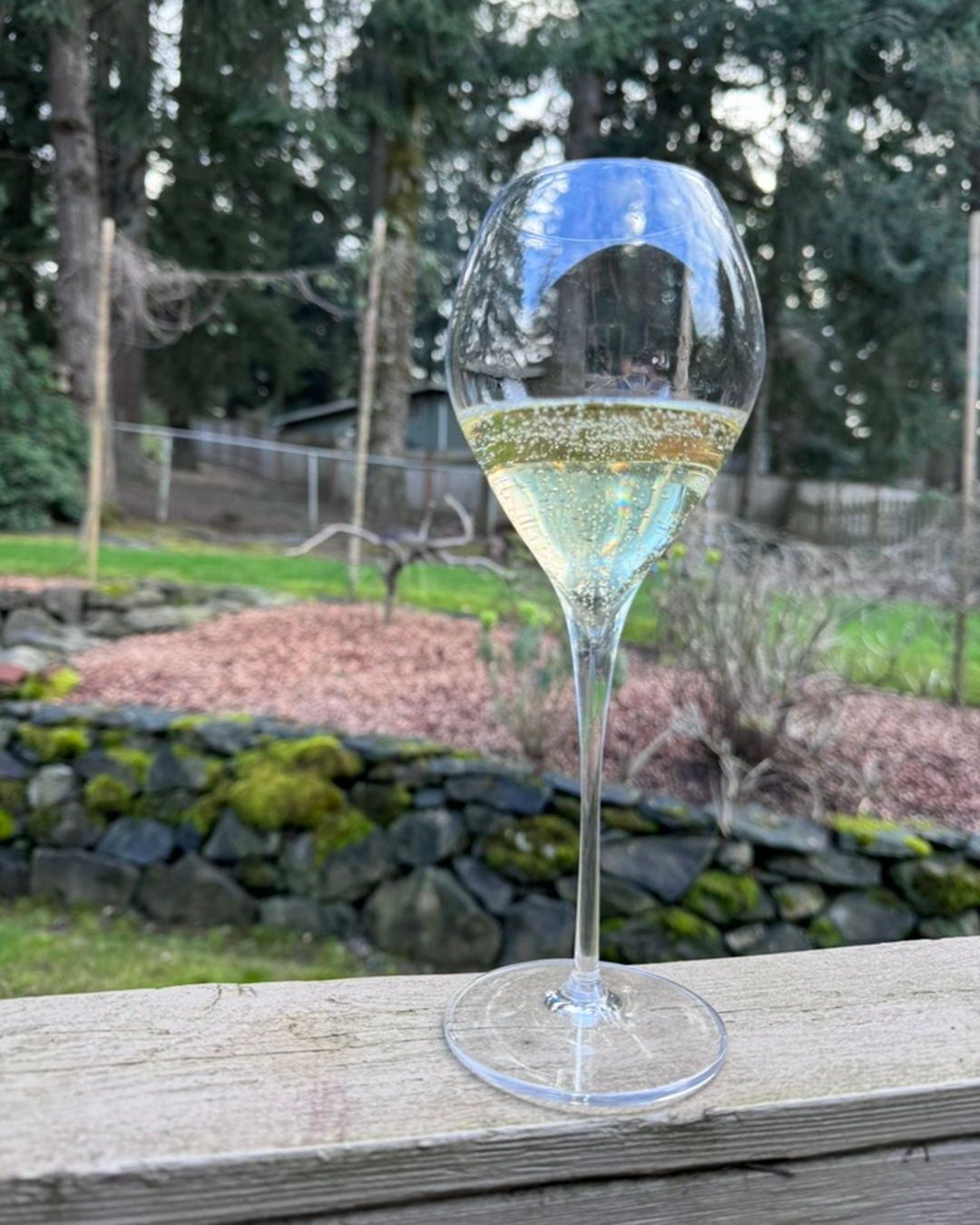 2021 for Sparkling Review