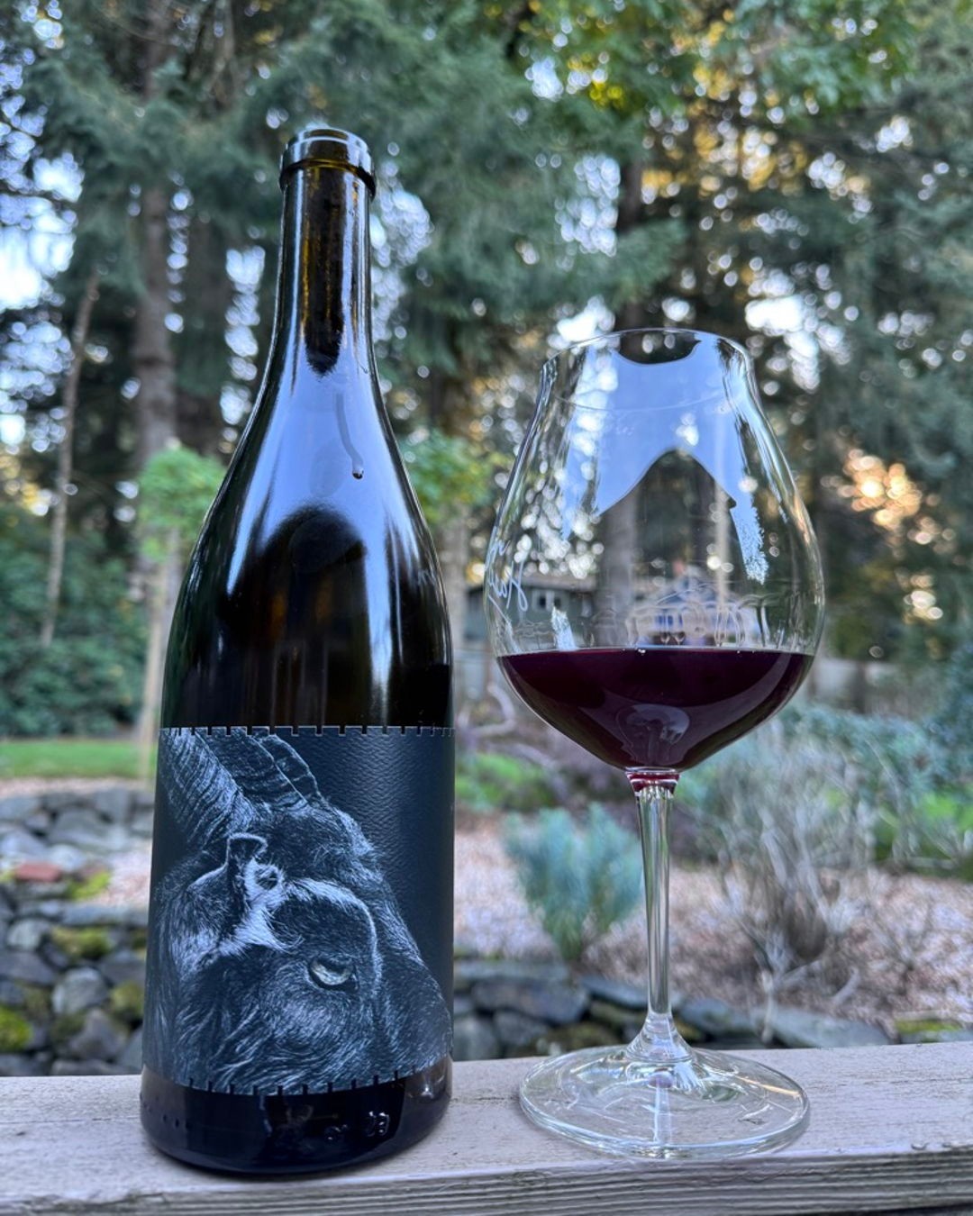 2021 Antiquum Farm Black Sheep Pinot Noir Review