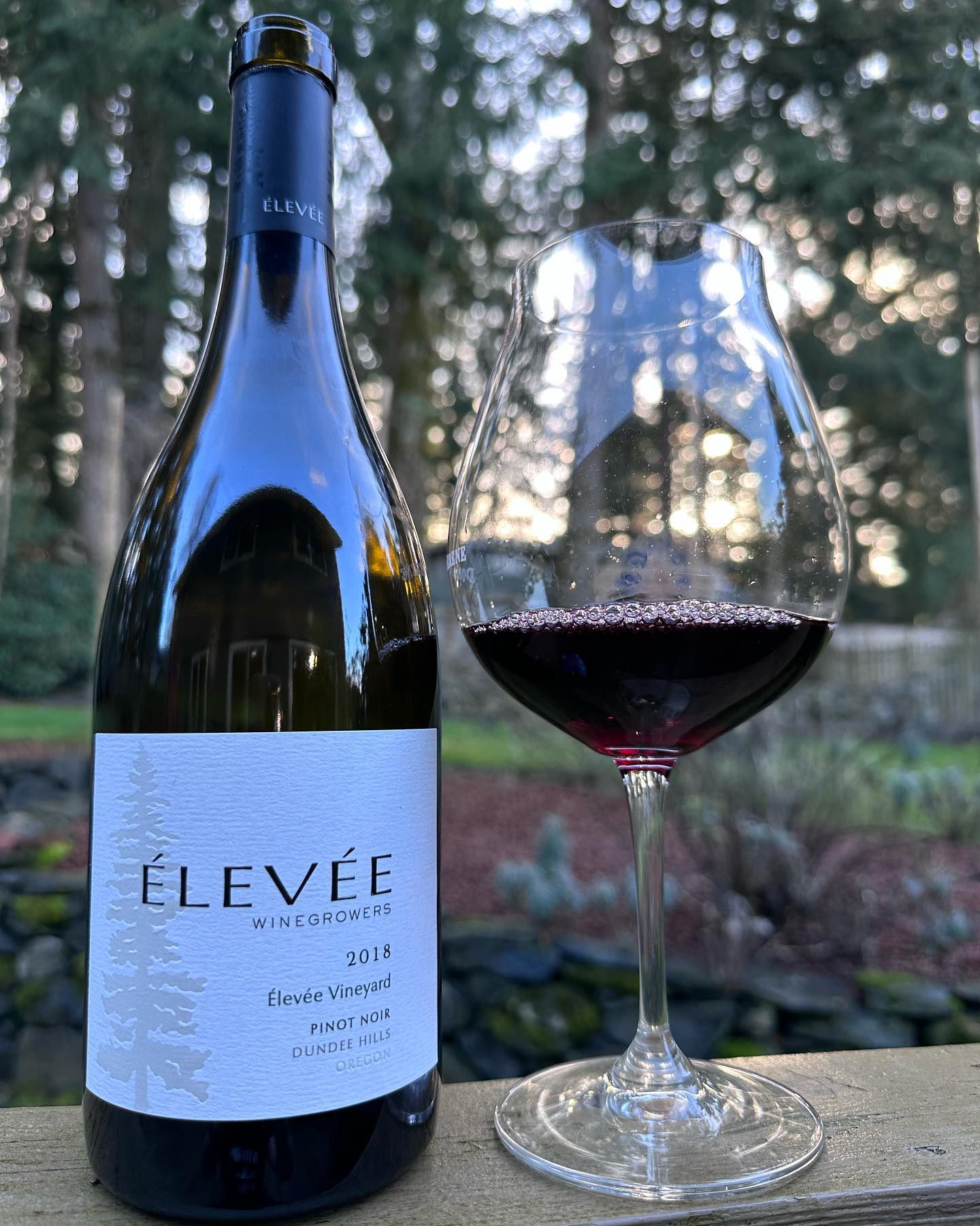 2018 Elevee Estate Vineyard Pinot Noir Review