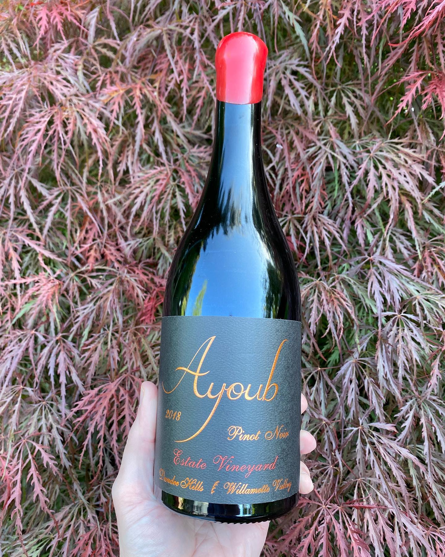 Opening up this 2018 Estate bad boy from Ayoub Wines for tonight’s wine meetup. Starts …