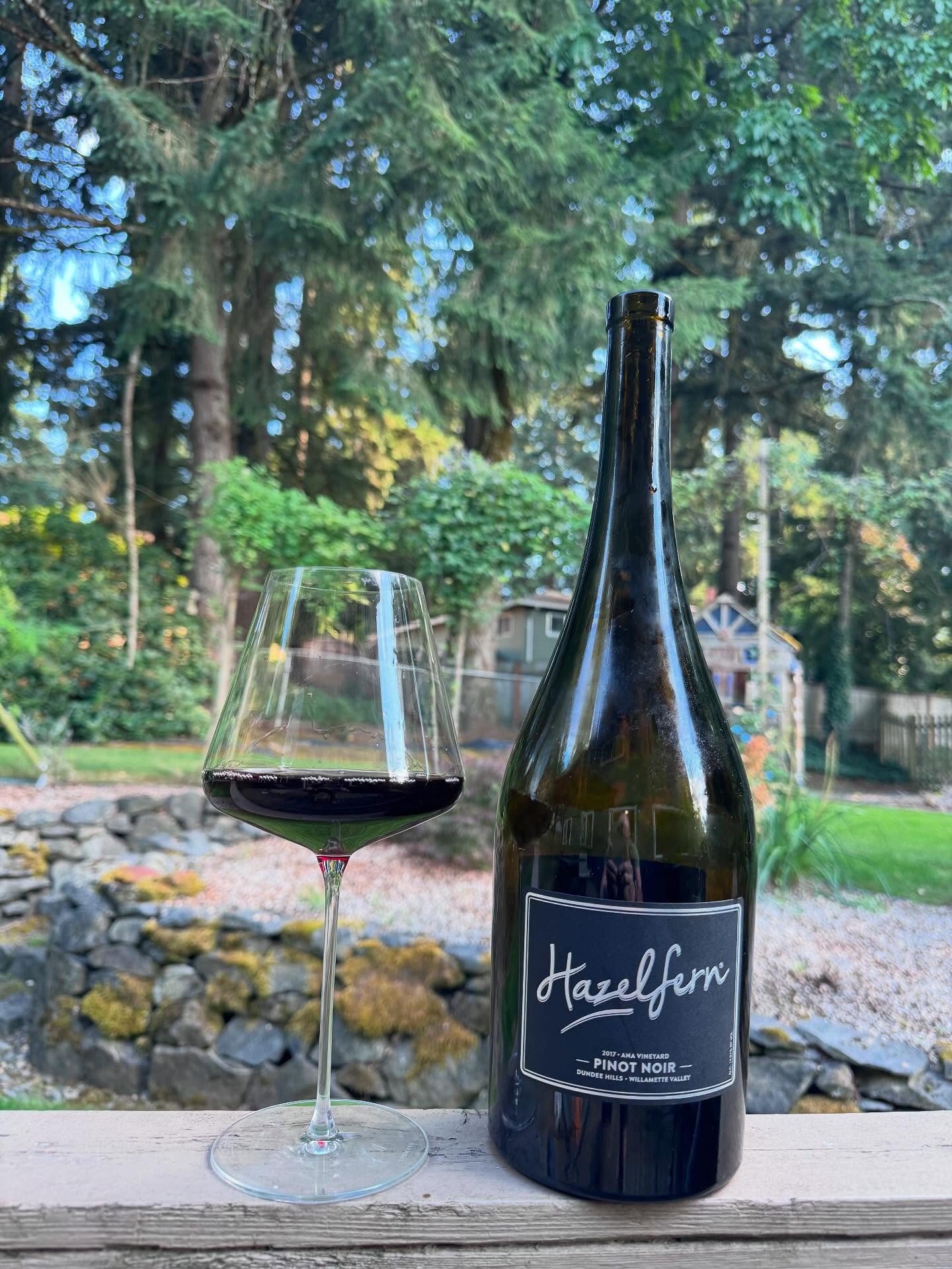 2017 Ana Vineyard Pinot Review