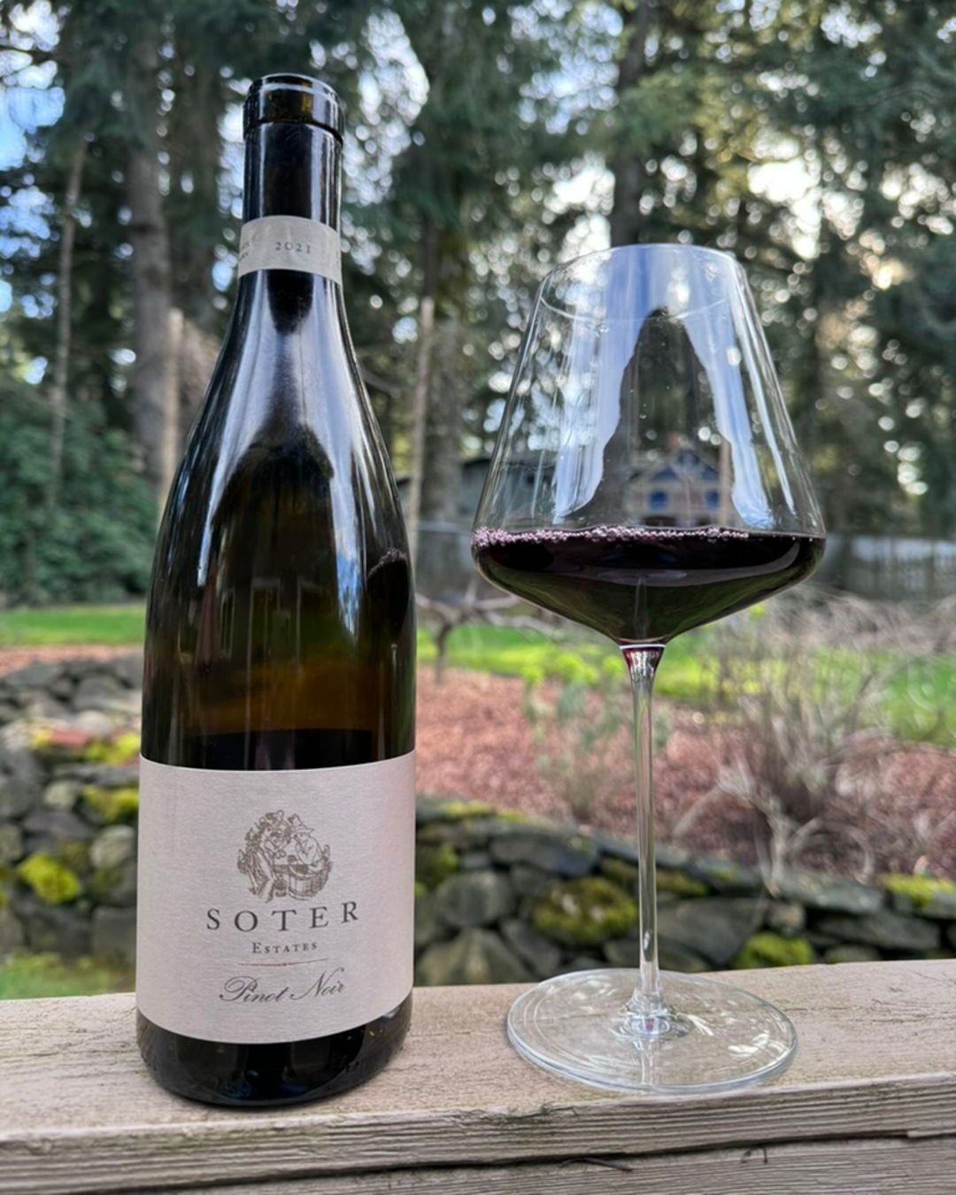 2021 Soter Estate Pinot Noir Review