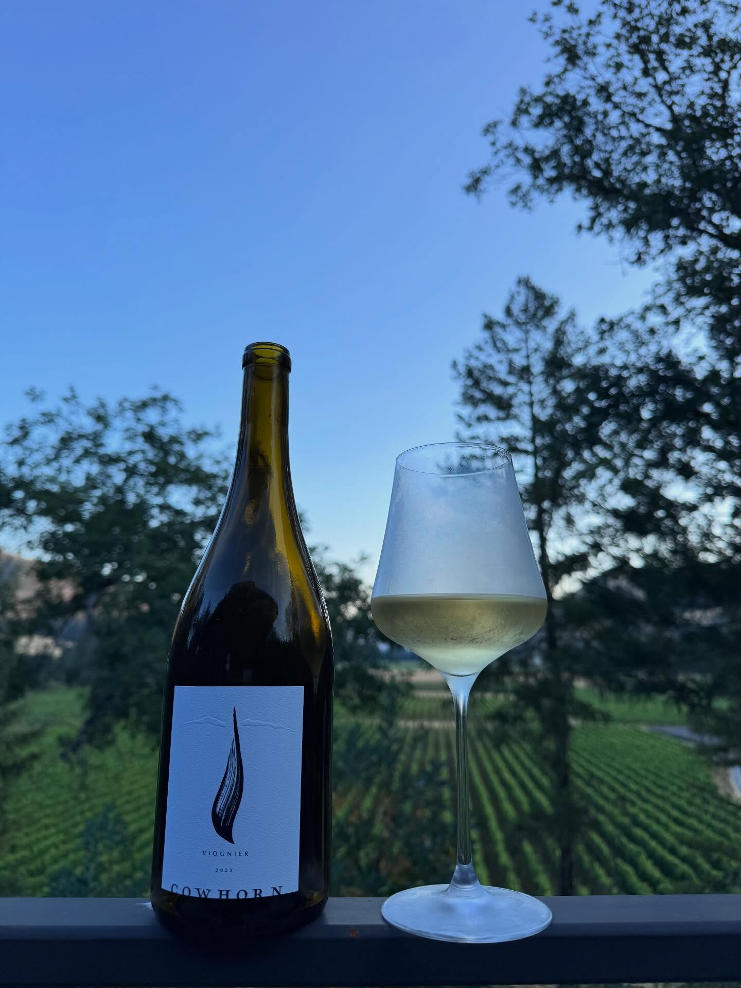 2023 Cowhorn Viognier Review