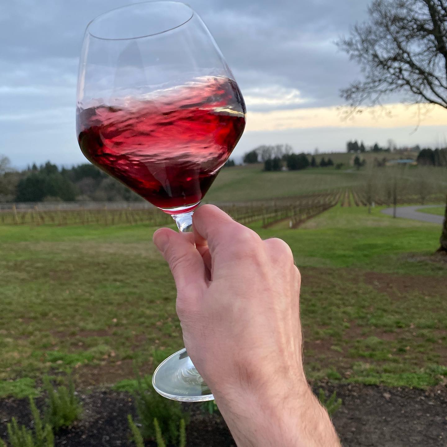 Ending wine country Saturday with a delicious pour of unexpected 2015 Monogram ❤️🤤 fro…