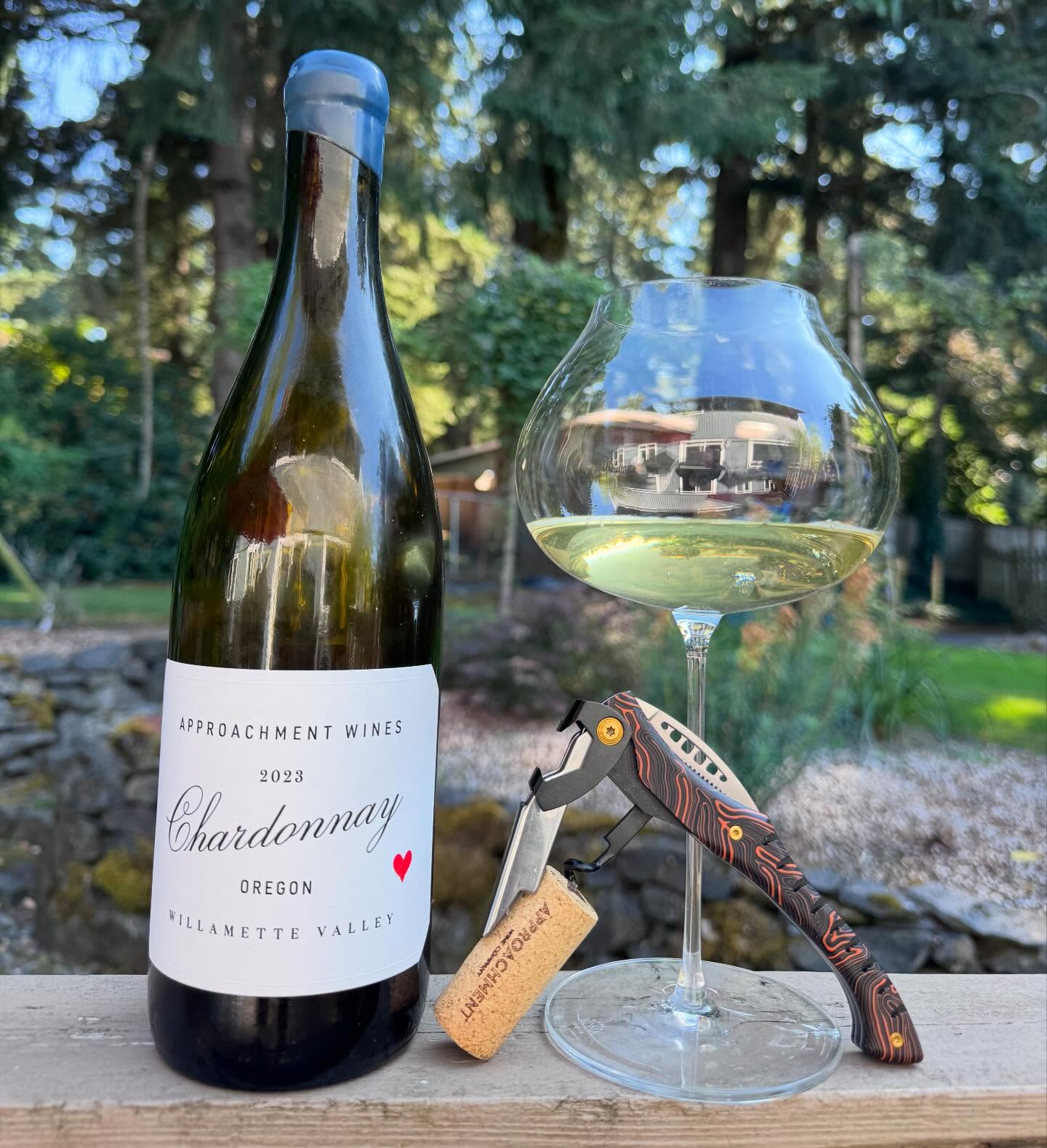 2023 Approachment Chardonnay Review